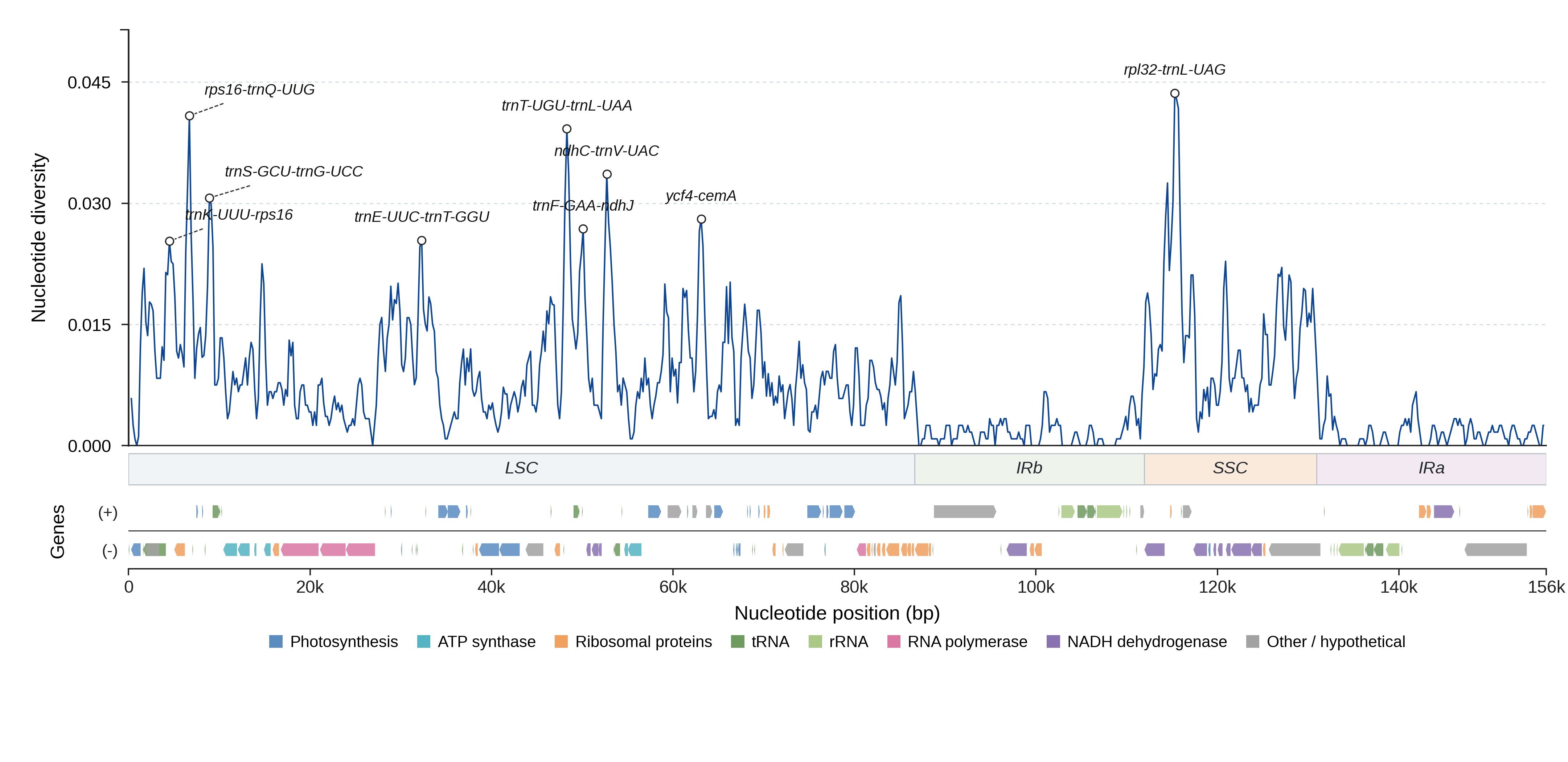 Sliding-window nucleotide diversity