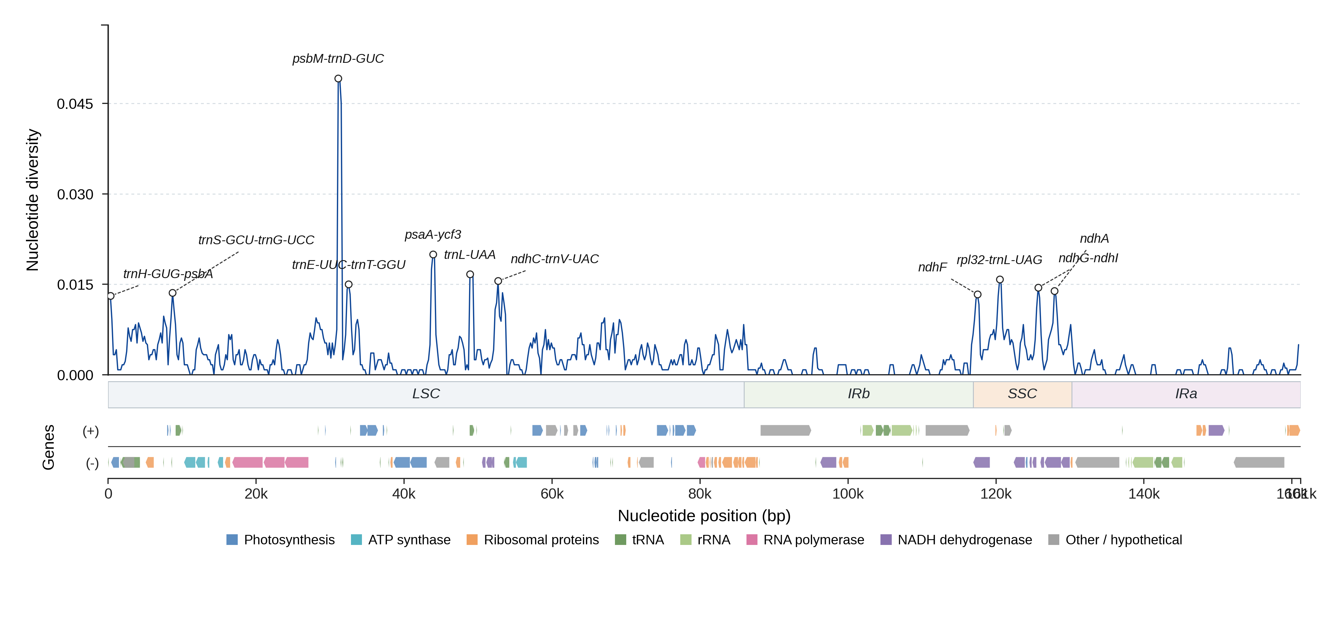 Sliding-window nucleotide diversity