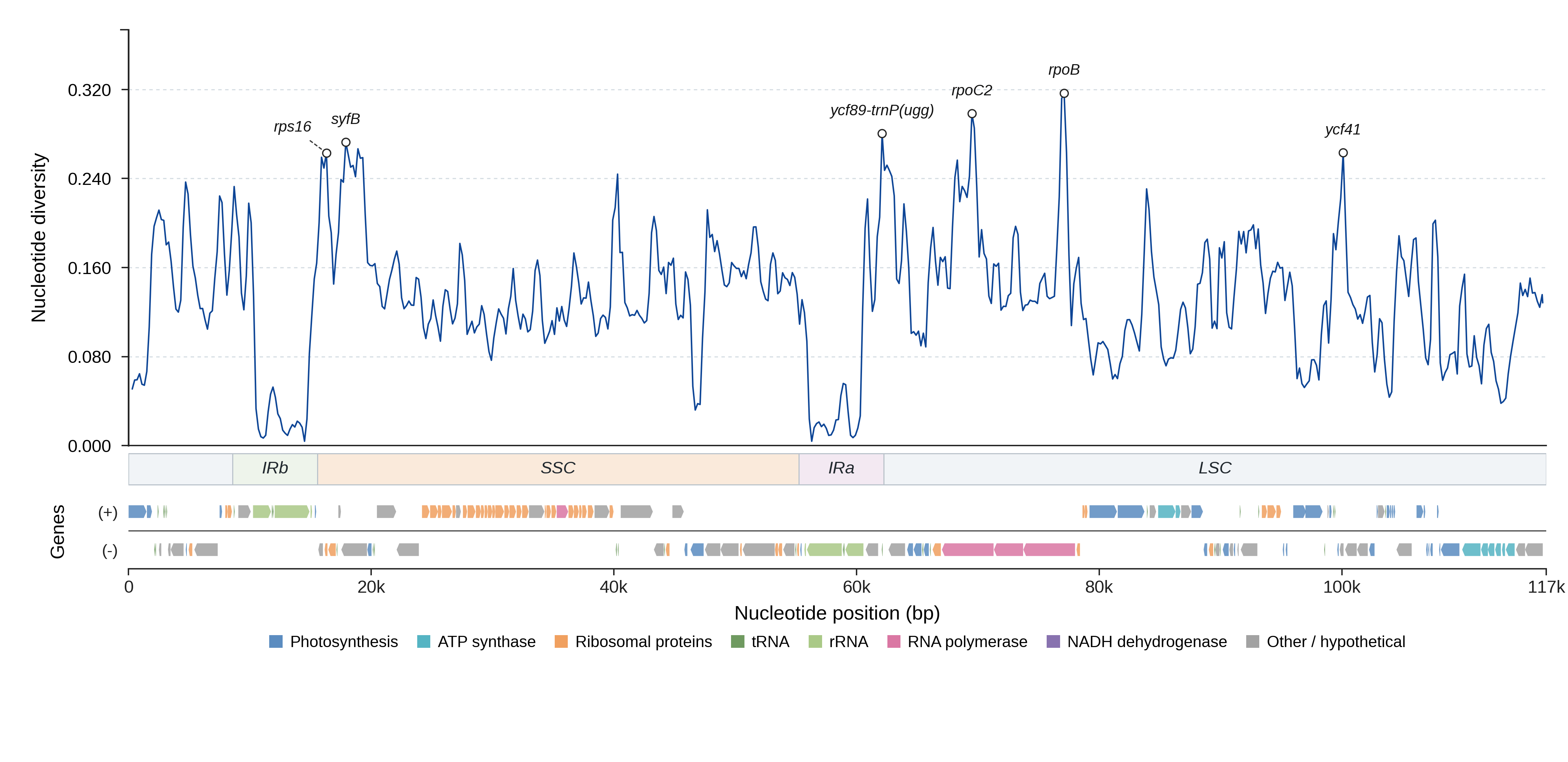 Sliding-window nucleotide diversity