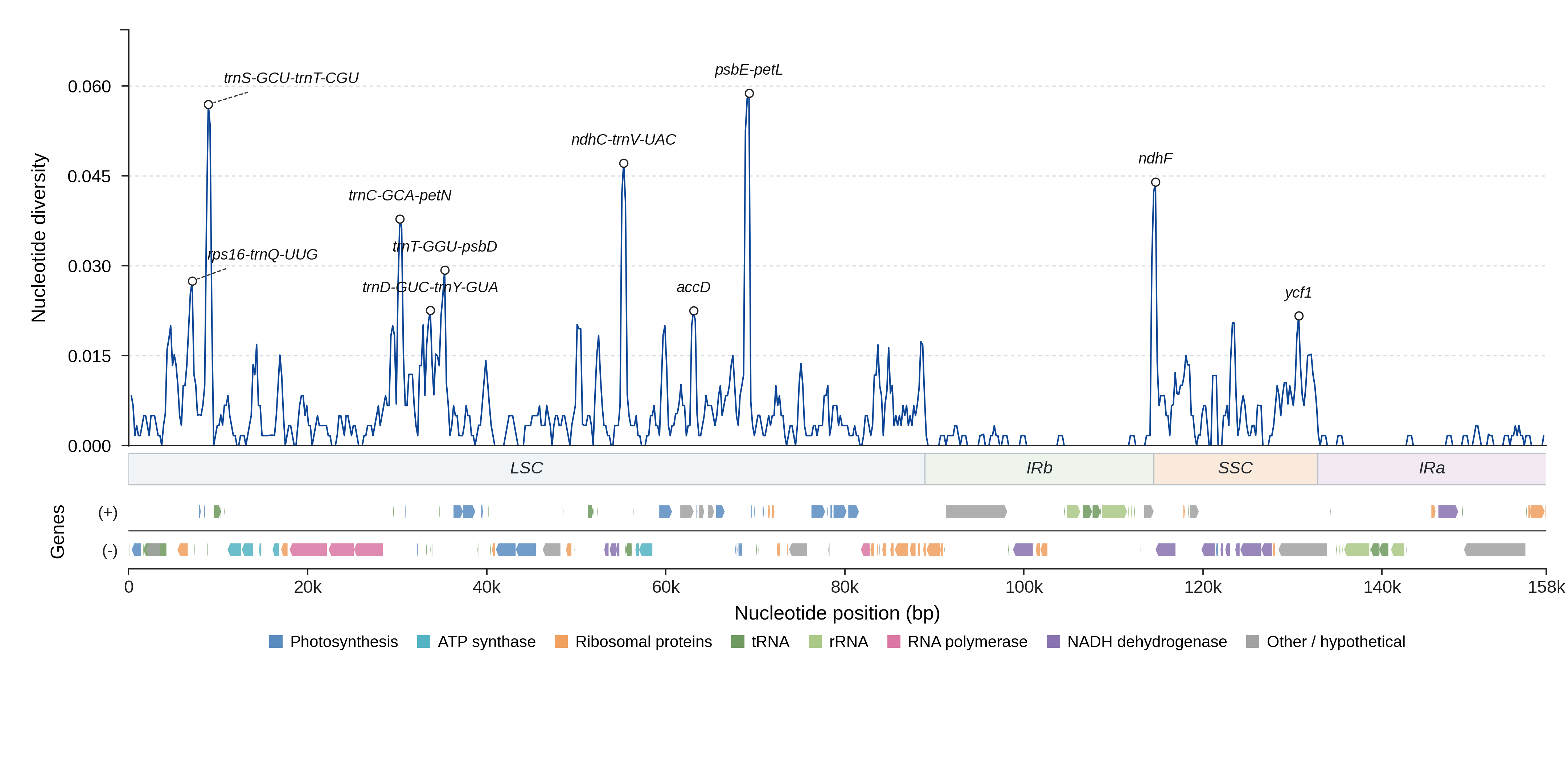 Sliding-window nucleotide diversity
