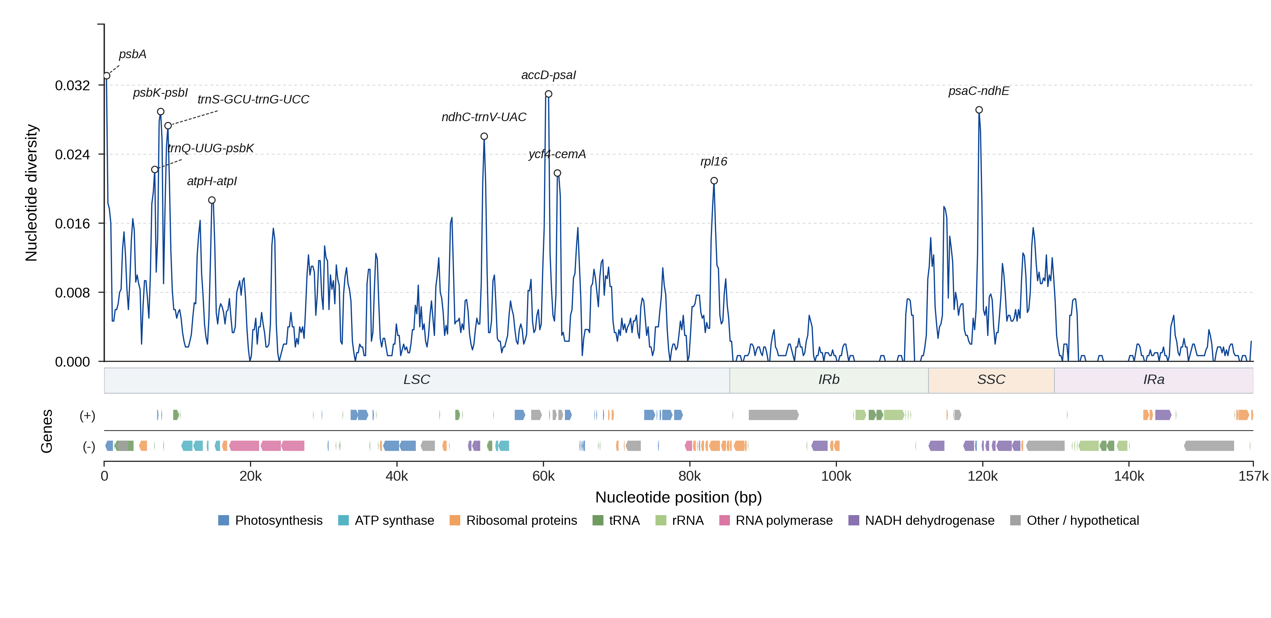 Sliding-window nucleotide diversity