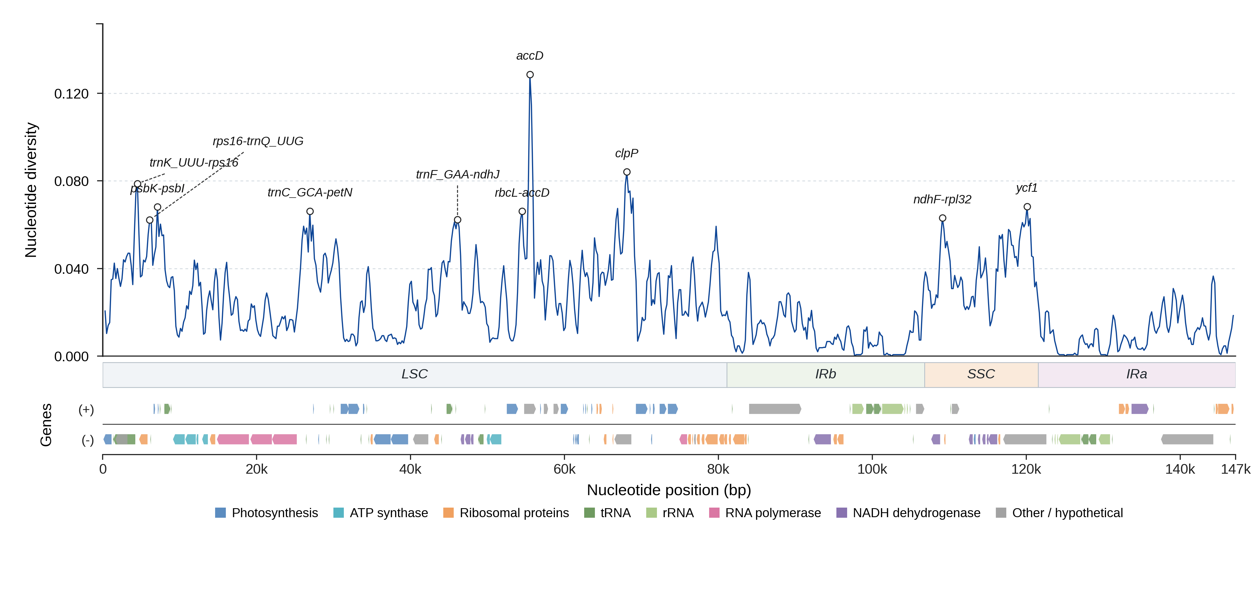 Sliding-window nucleotide diversity