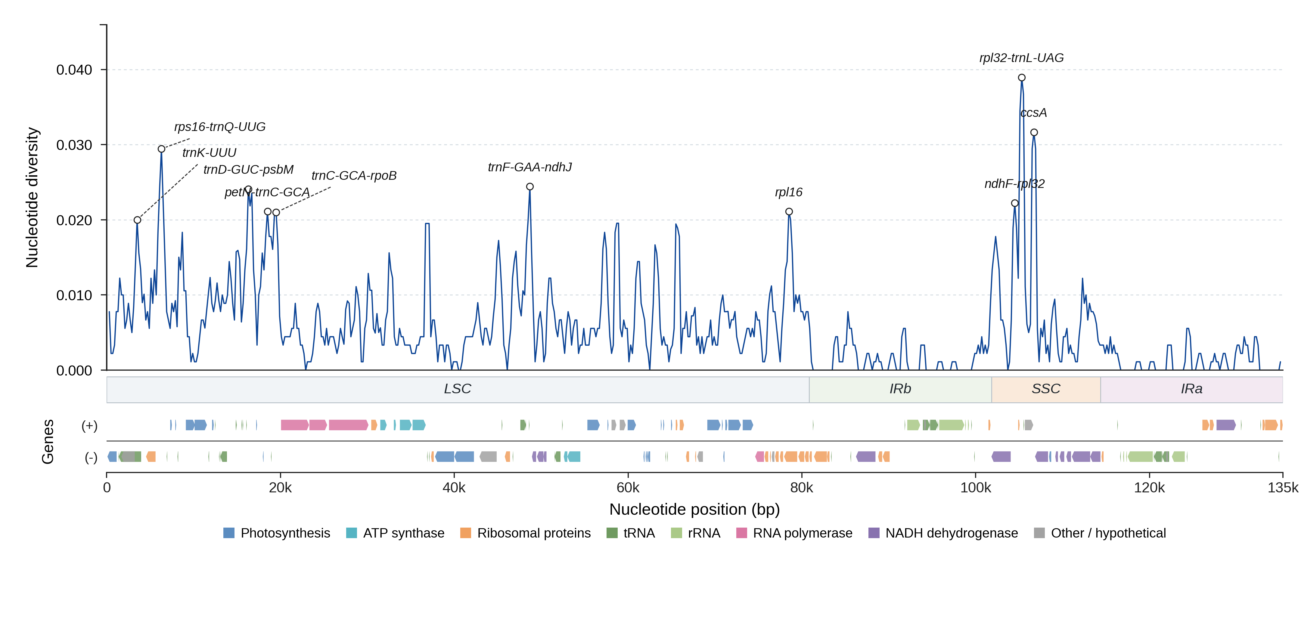 Sliding-window nucleotide diversity