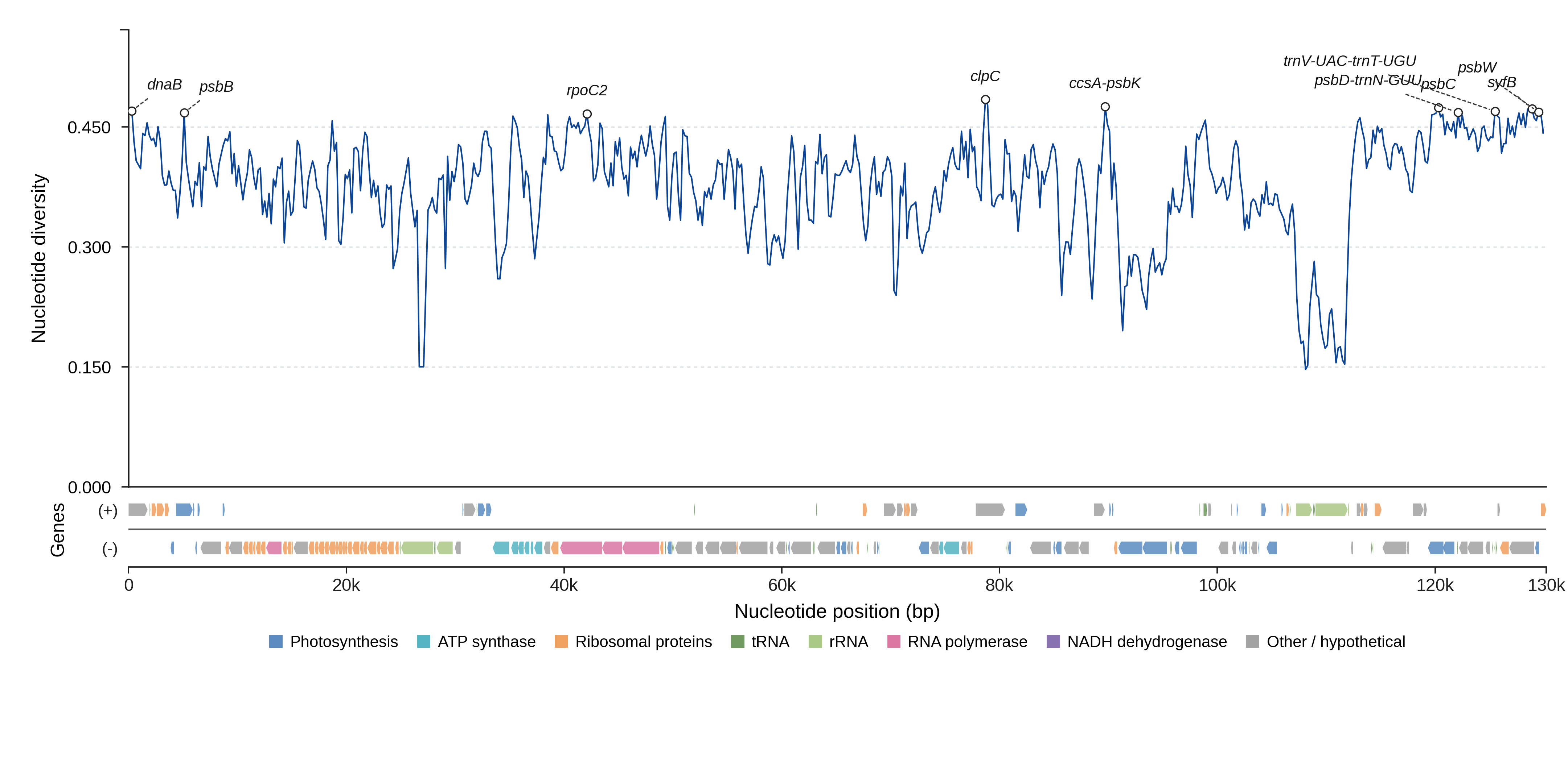 Sliding-window nucleotide diversity