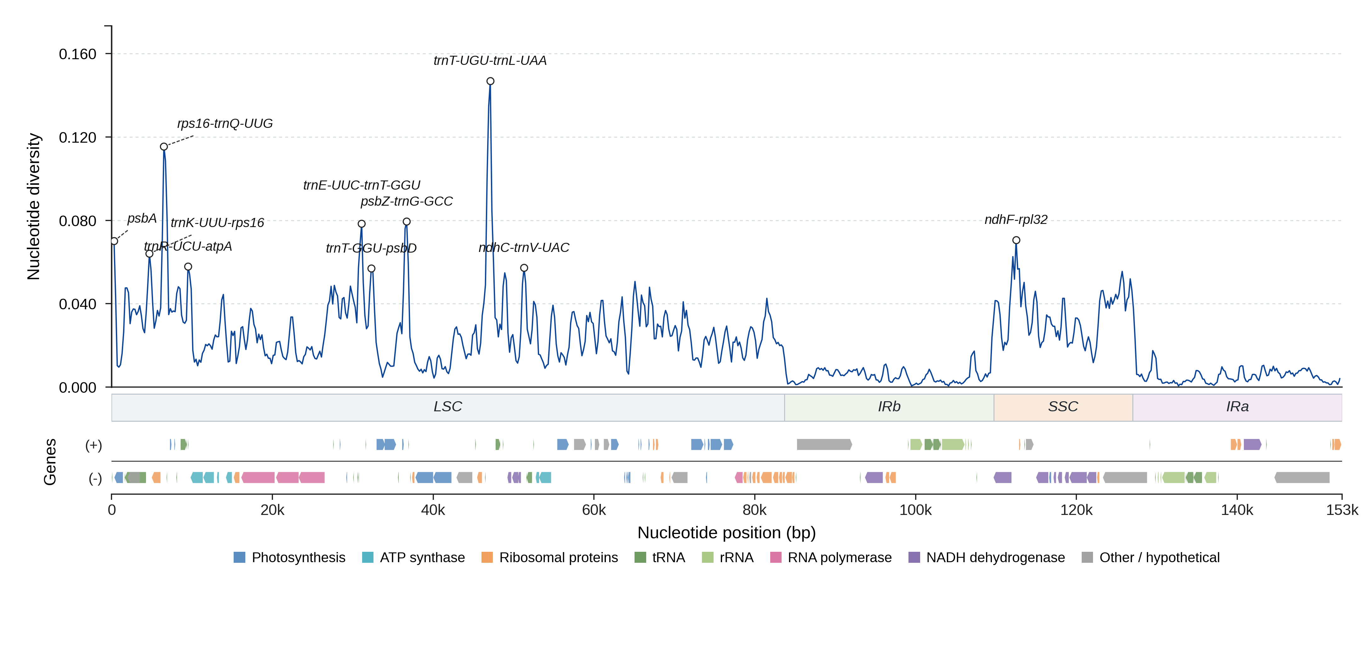 Sliding-window nucleotide diversity