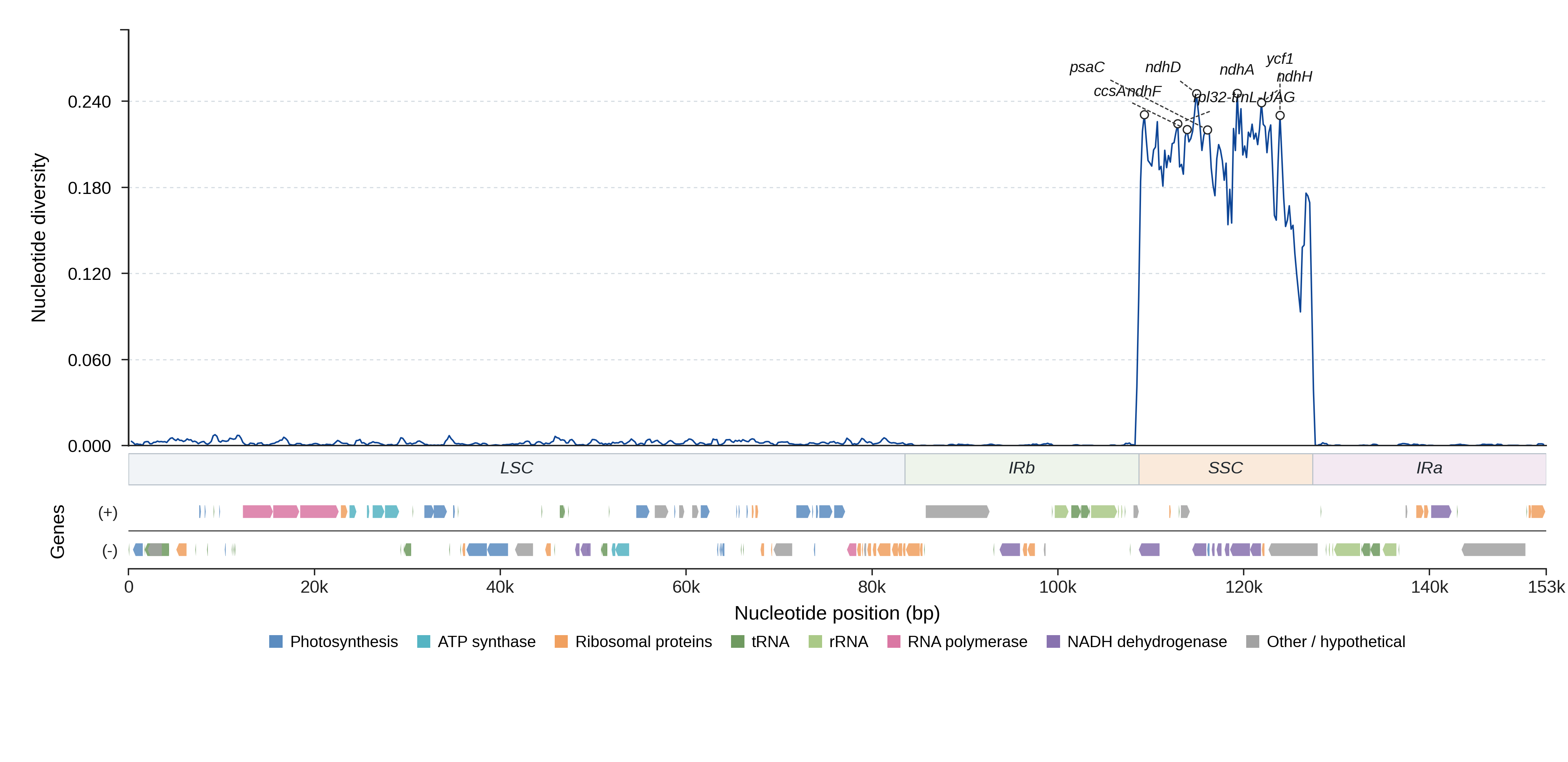 Sliding-window nucleotide diversity