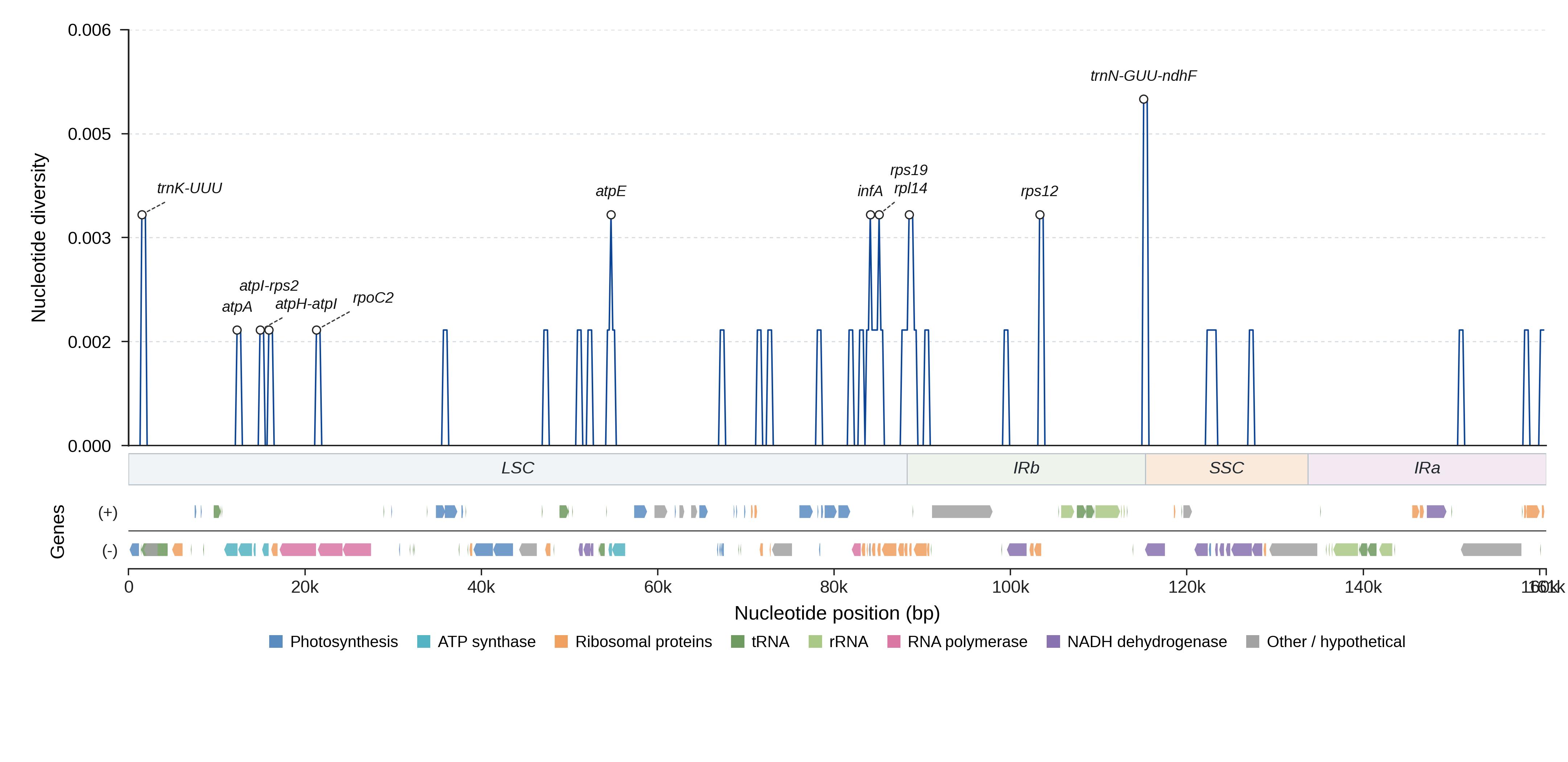 Sliding-window nucleotide diversity
