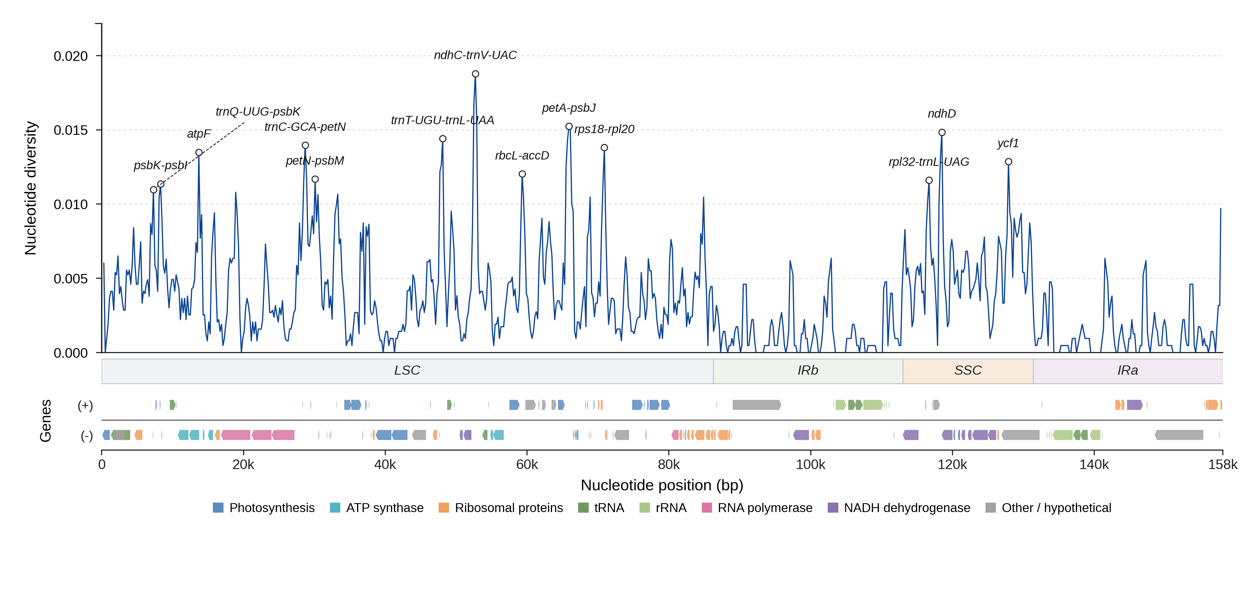 Sliding-window nucleotide diversity