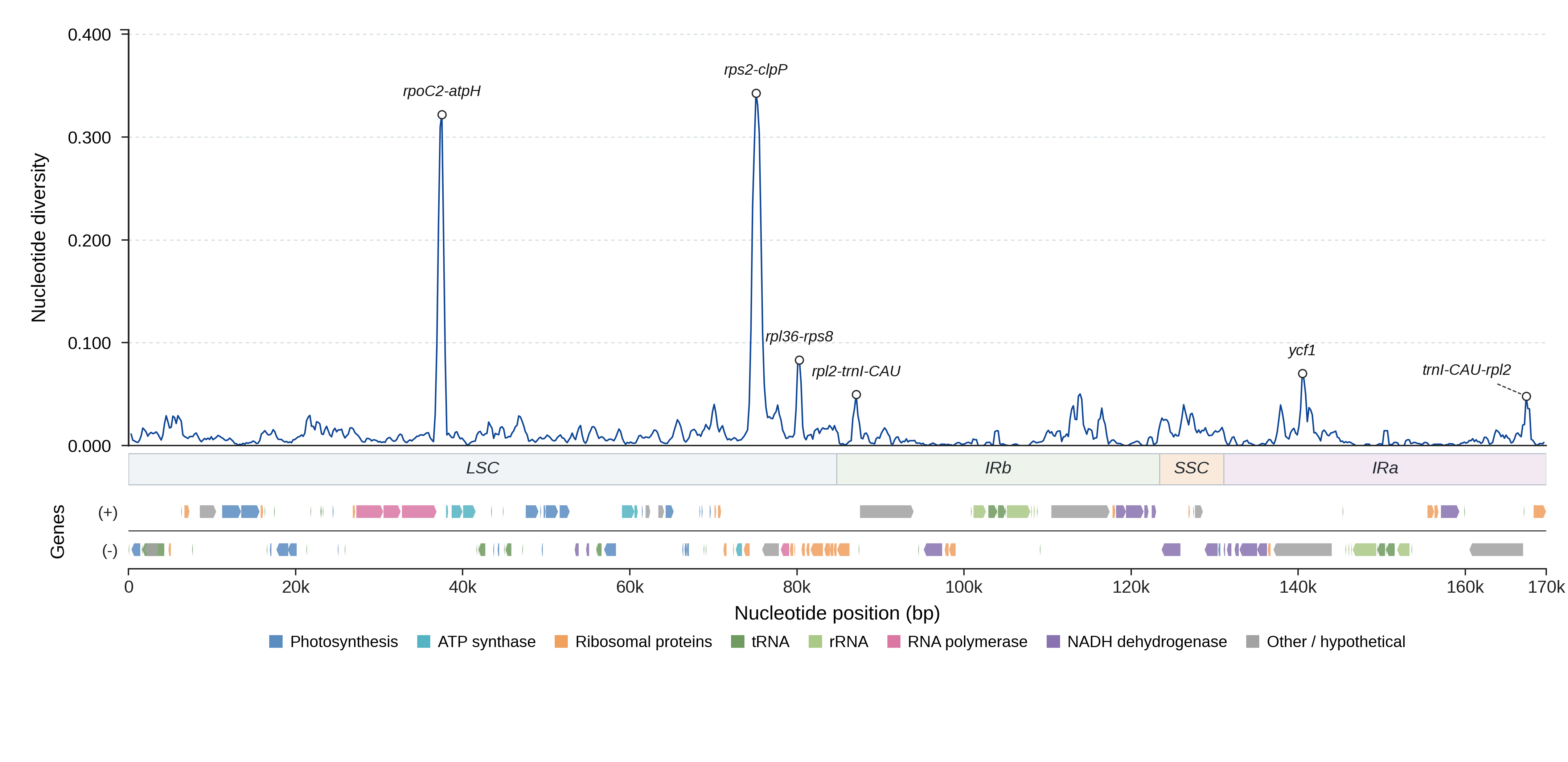 Sliding-window nucleotide diversity