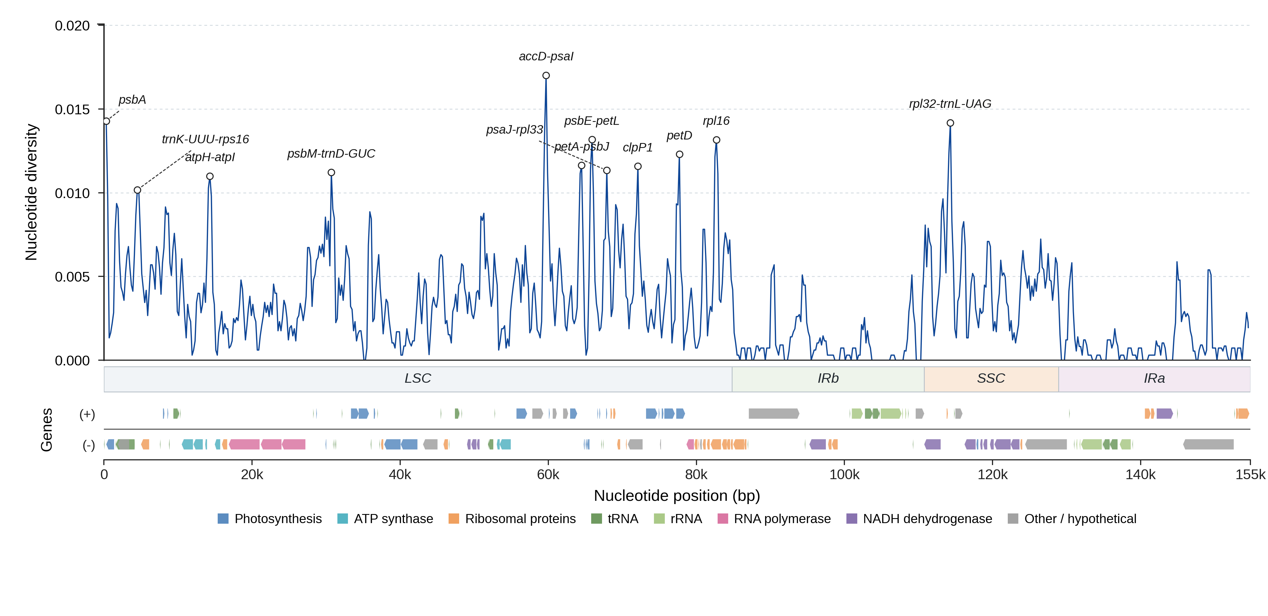 Sliding-window nucleotide diversity