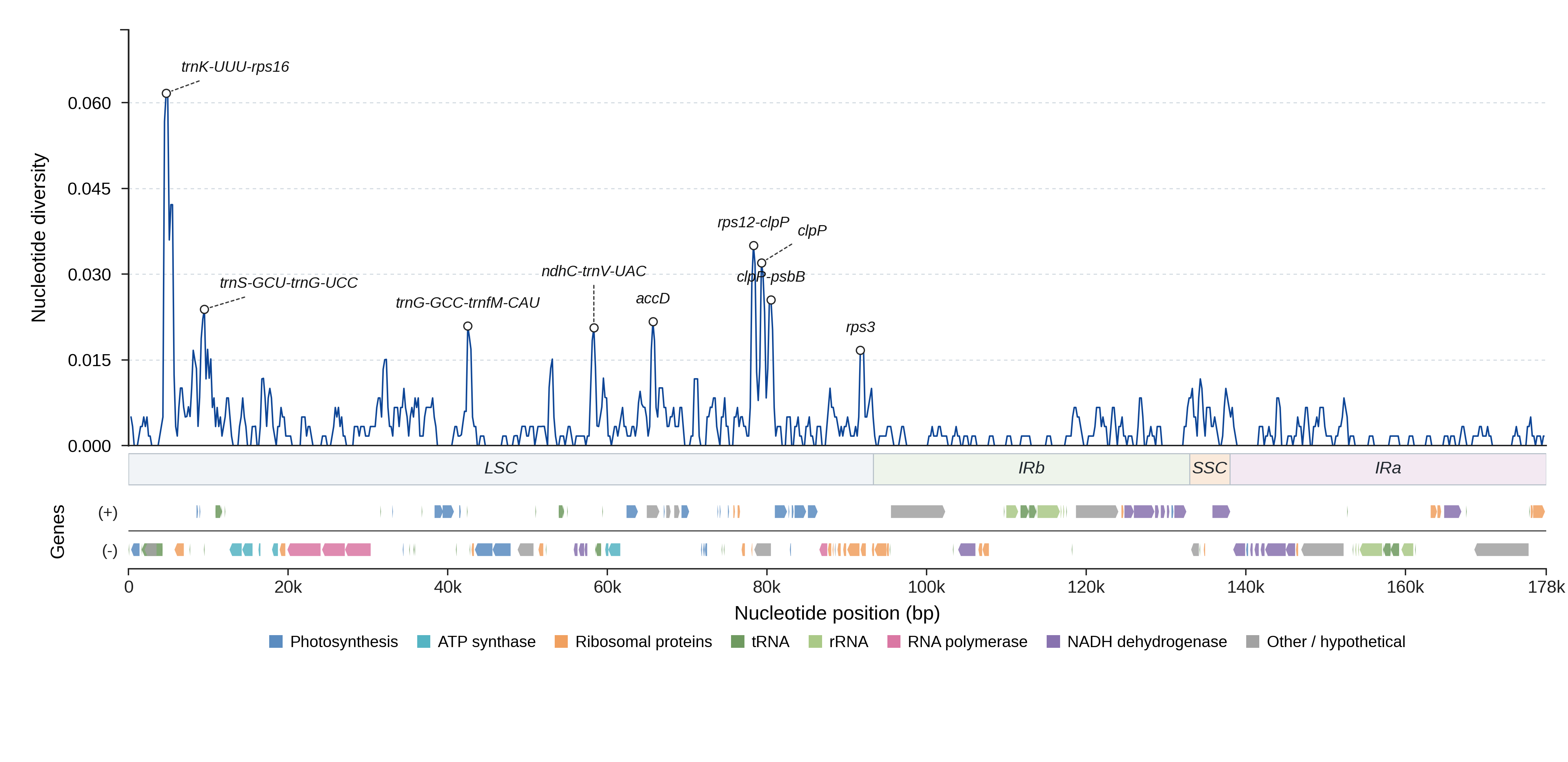 Sliding-window nucleotide diversity