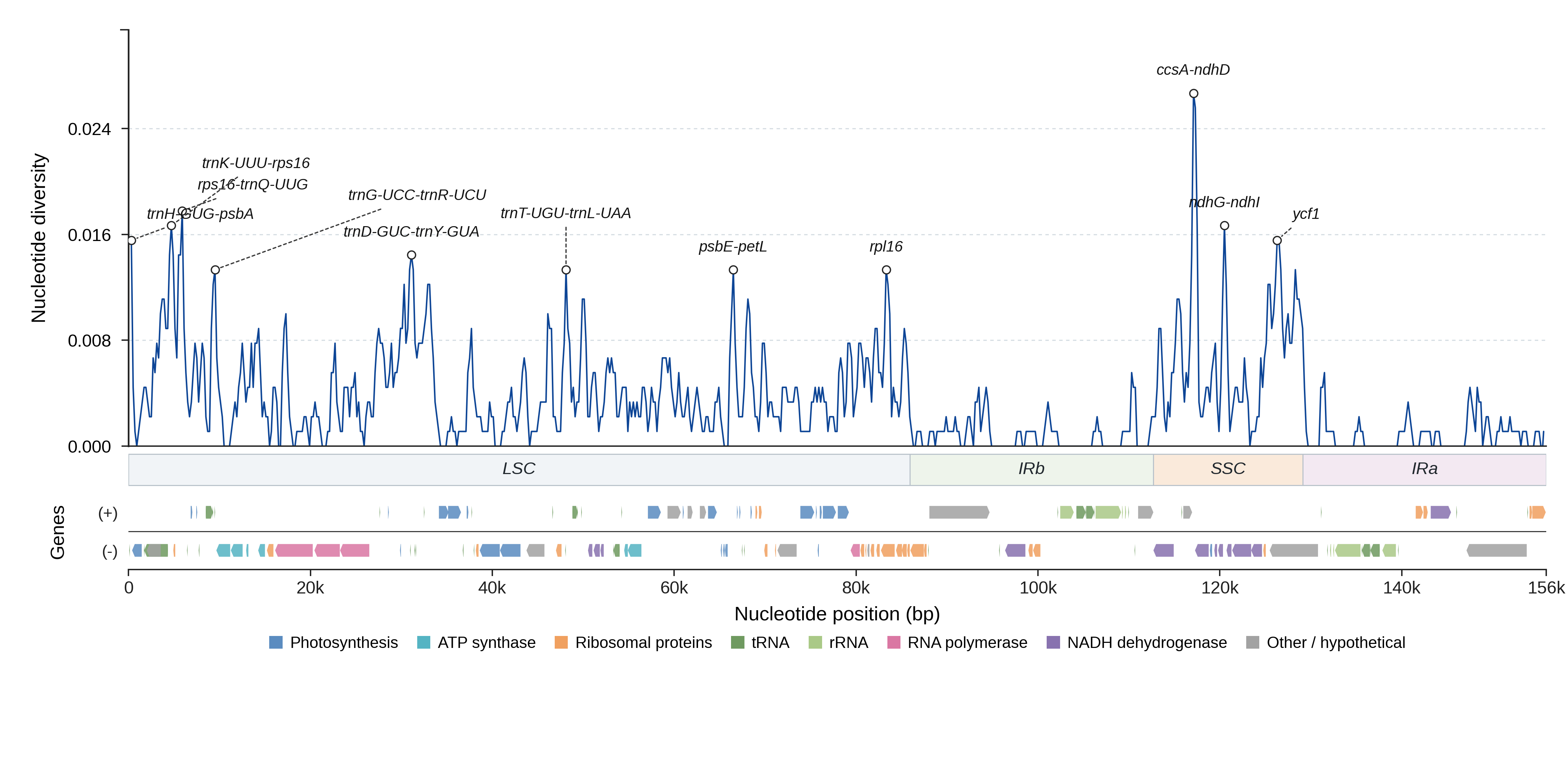 Sliding-window nucleotide diversity