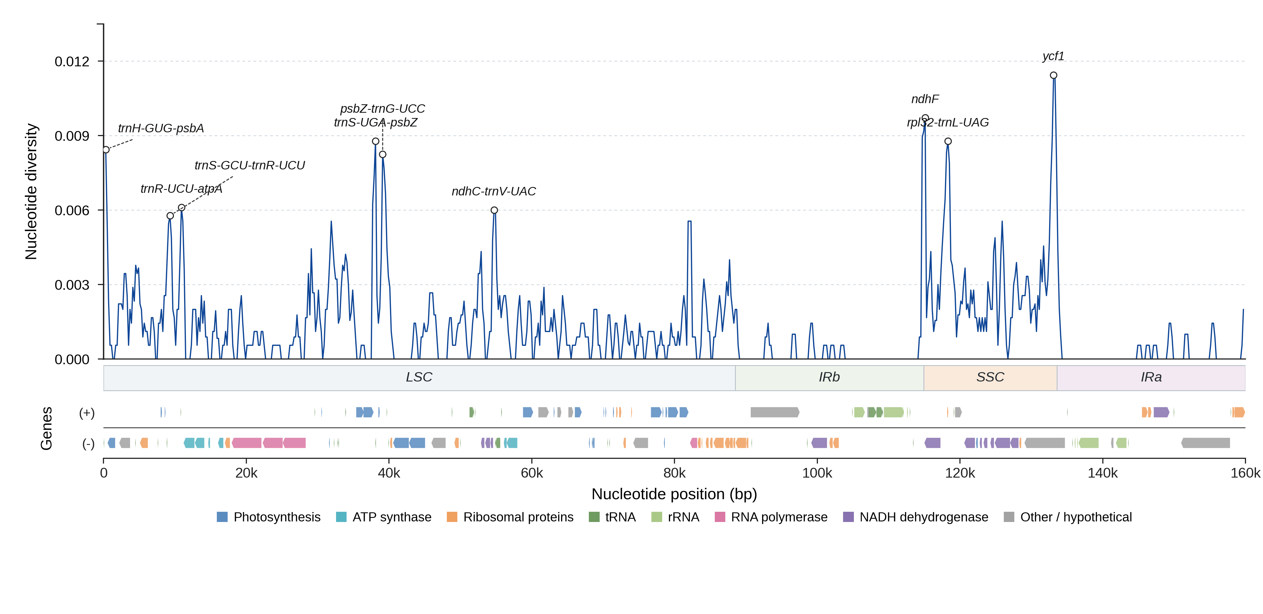 Sliding-window nucleotide diversity