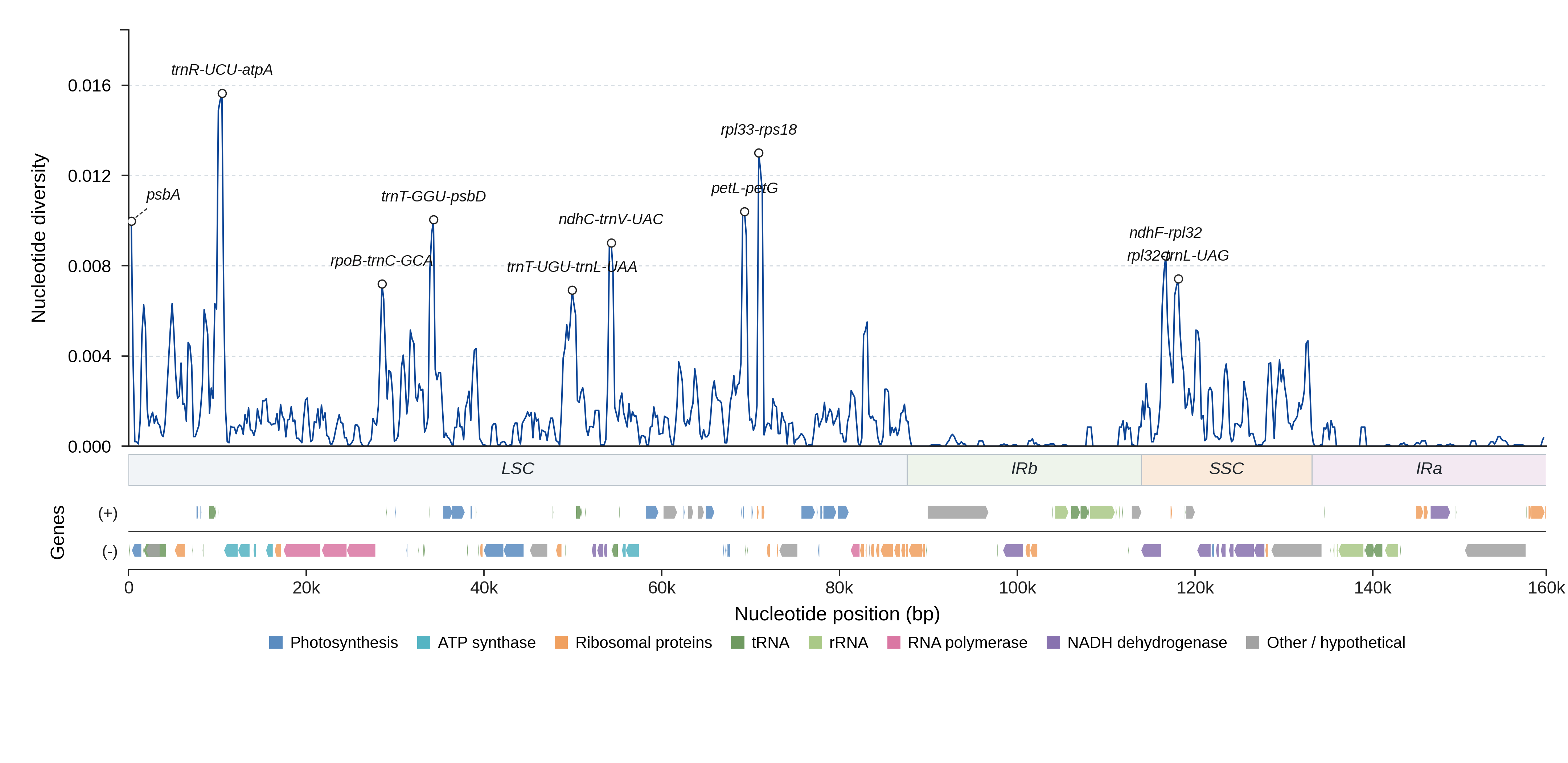 Sliding-window nucleotide diversity