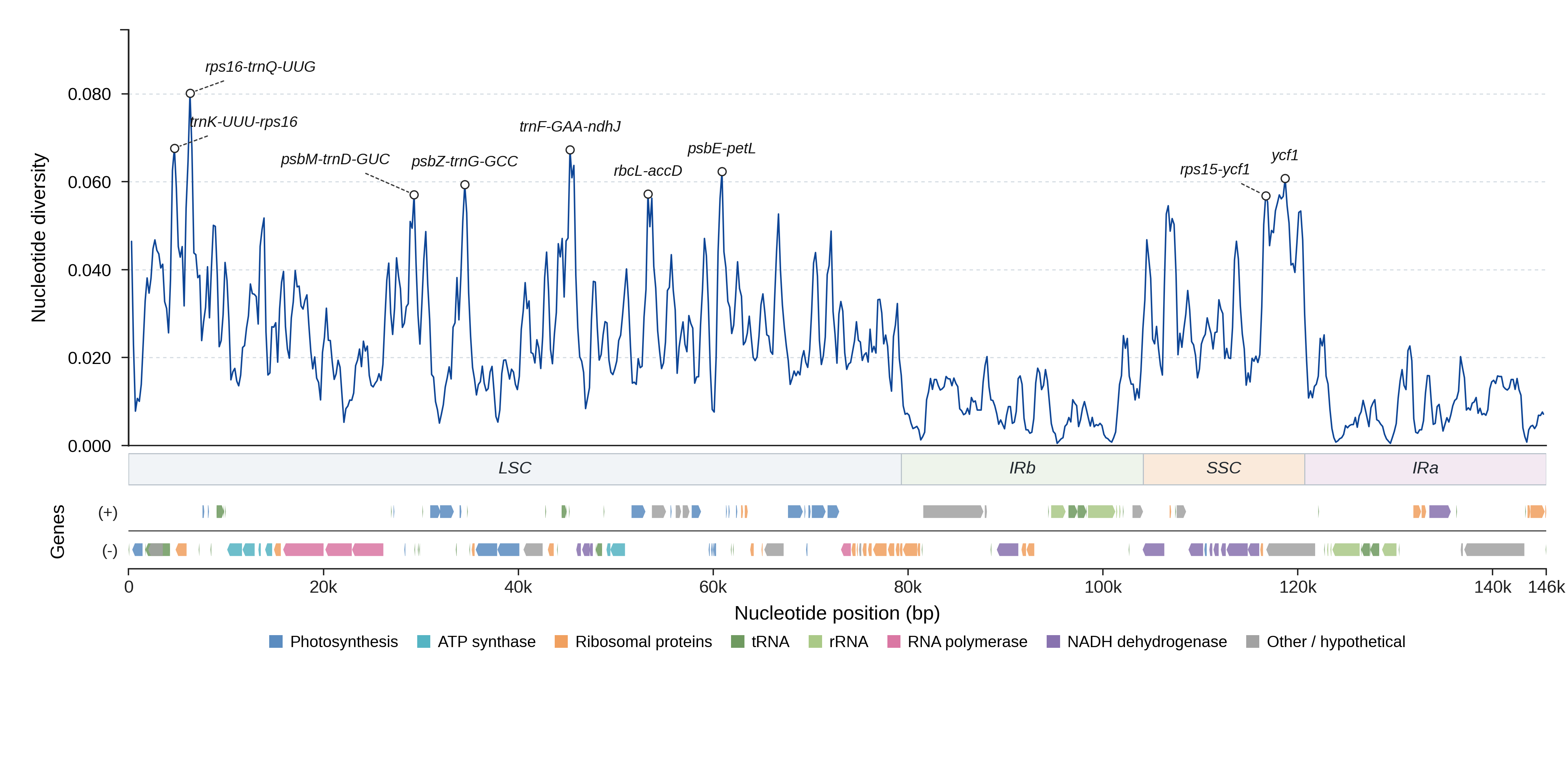 Sliding-window nucleotide diversity