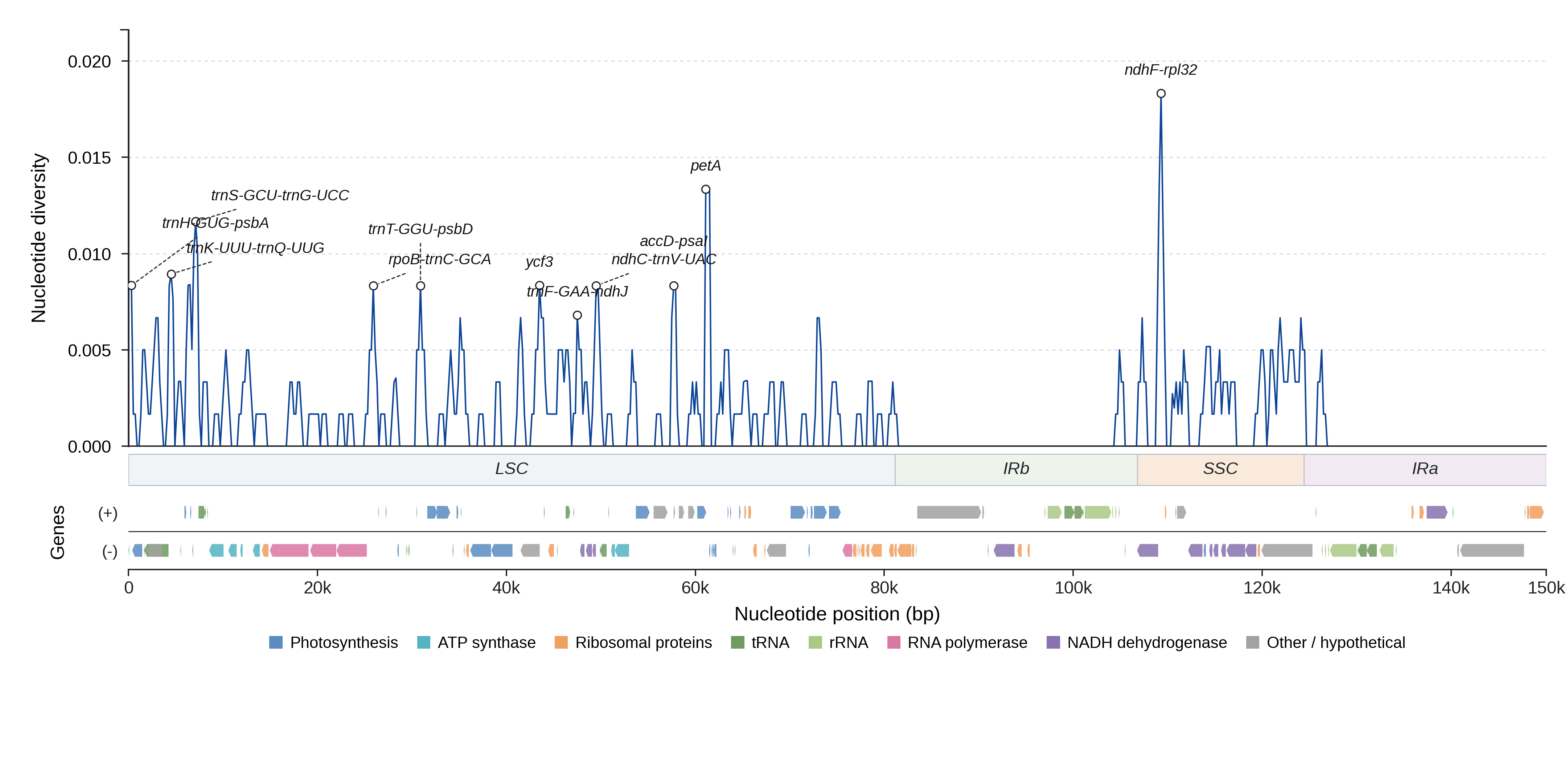 Sliding-window nucleotide diversity
