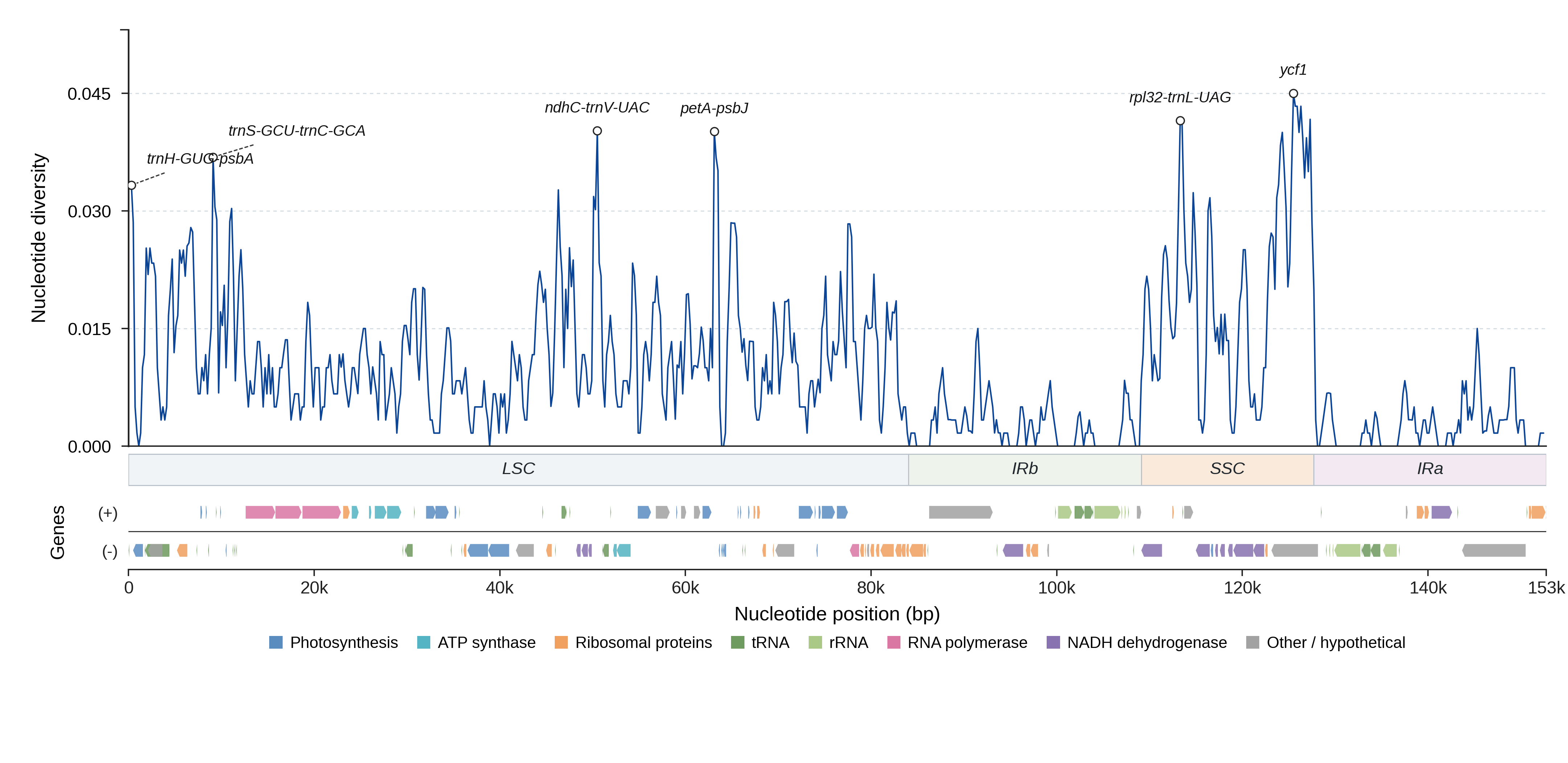 Sliding-window nucleotide diversity