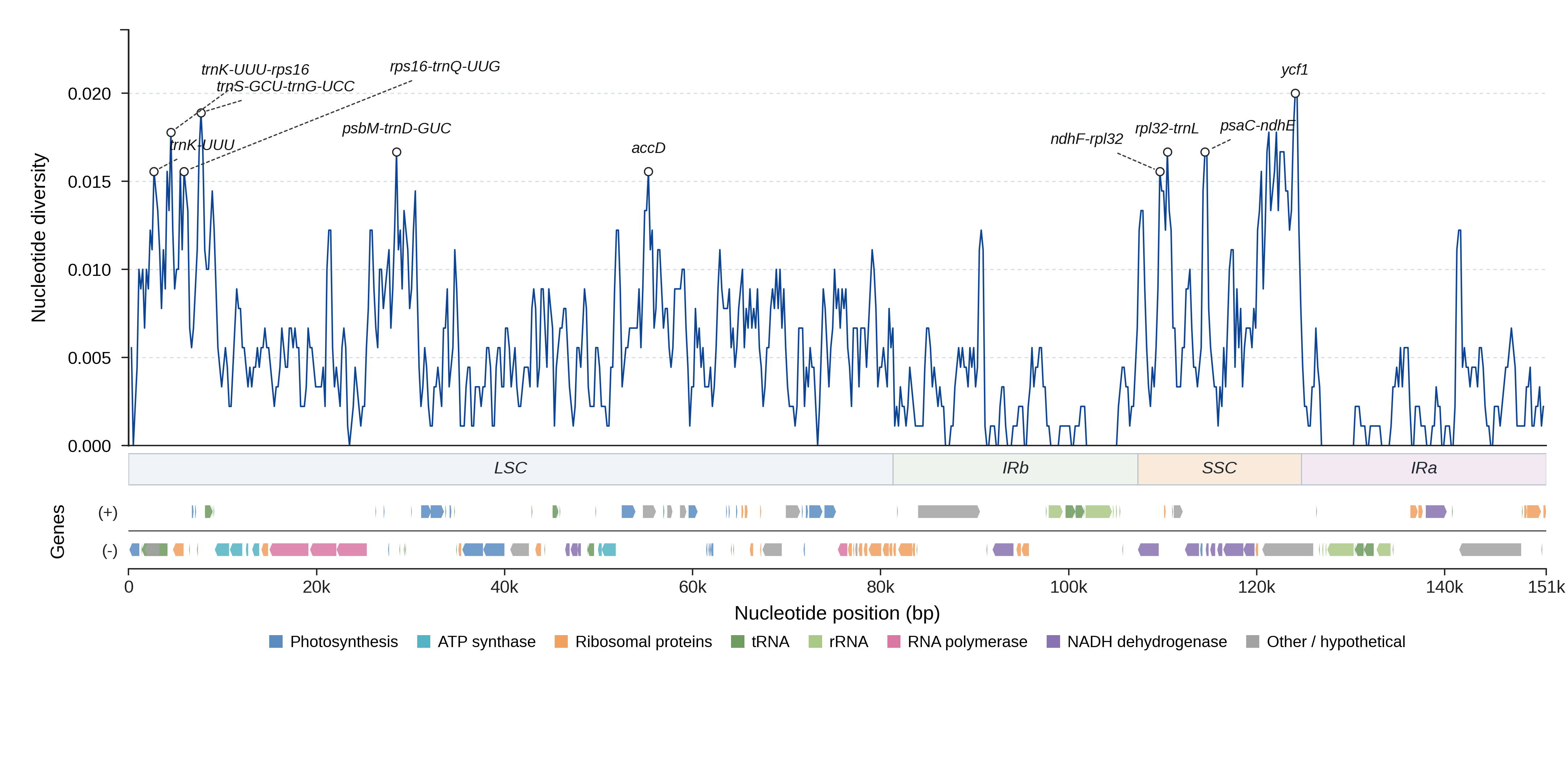 Sliding-window nucleotide diversity