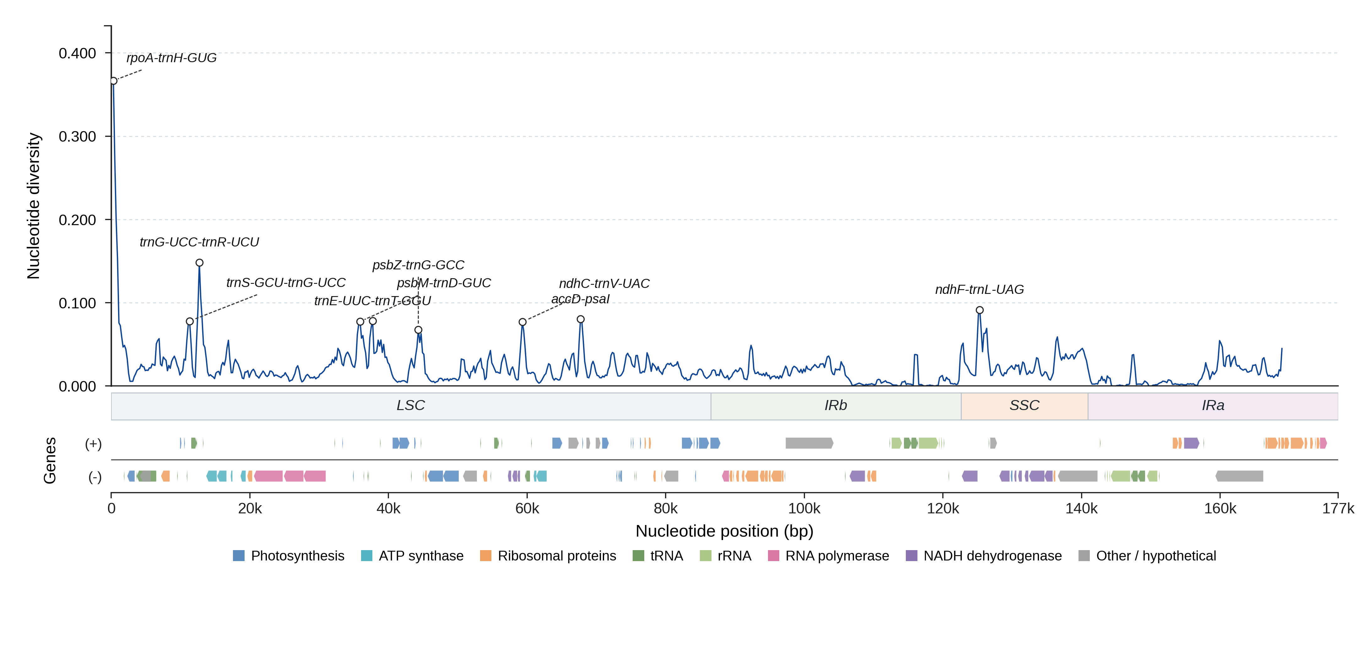 Sliding-window nucleotide diversity