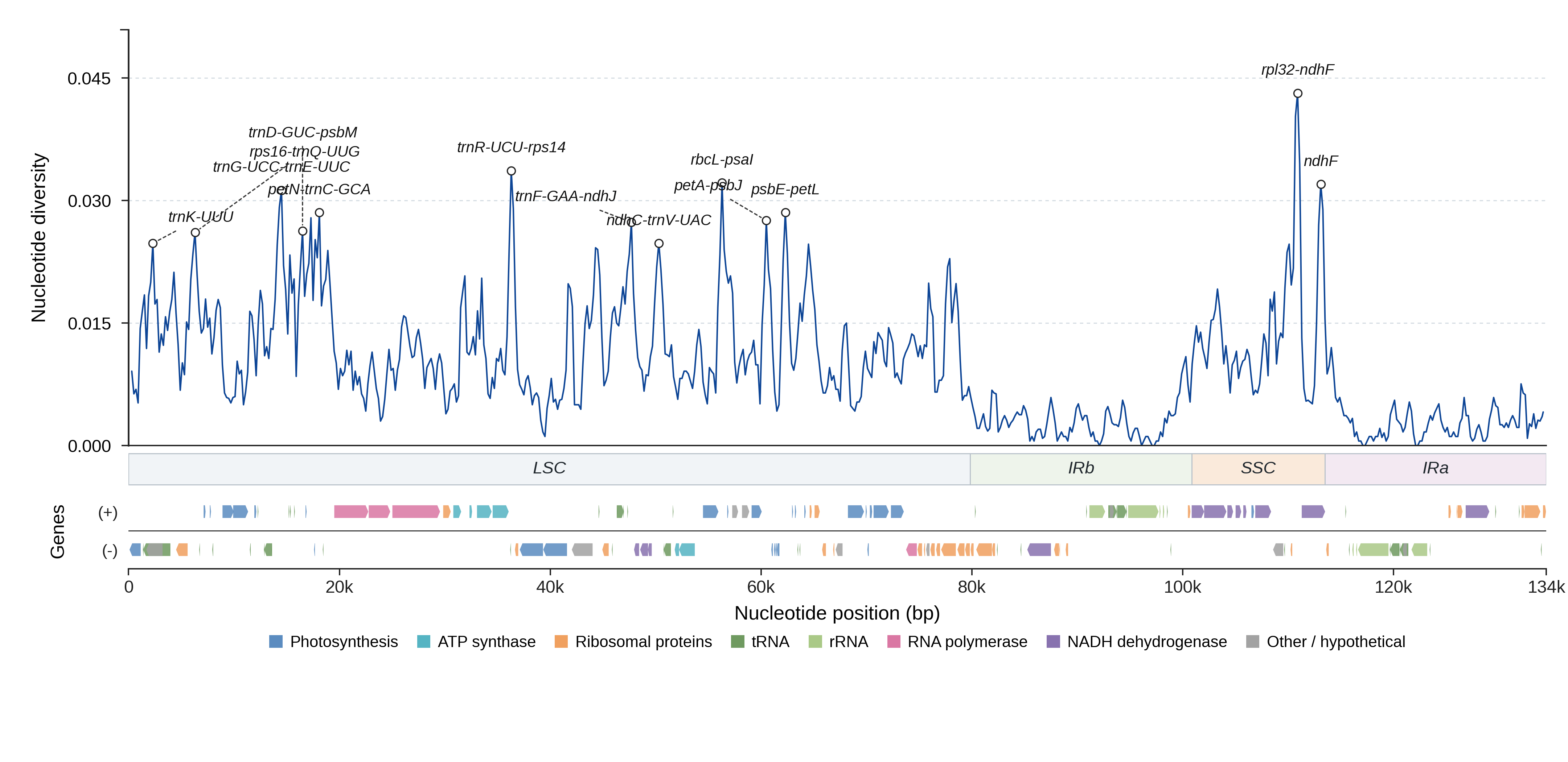 Sliding-window nucleotide diversity