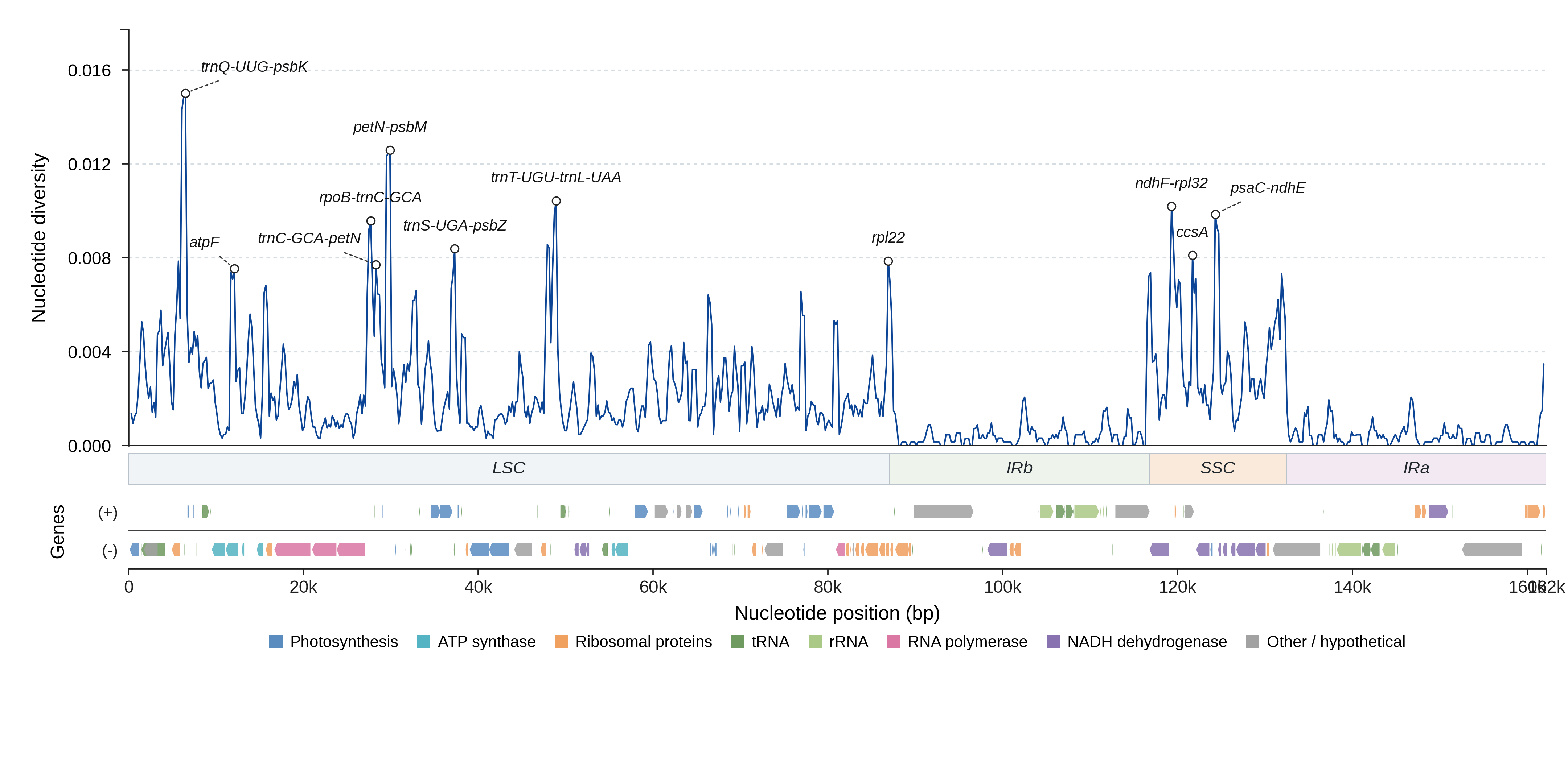Sliding-window nucleotide diversity