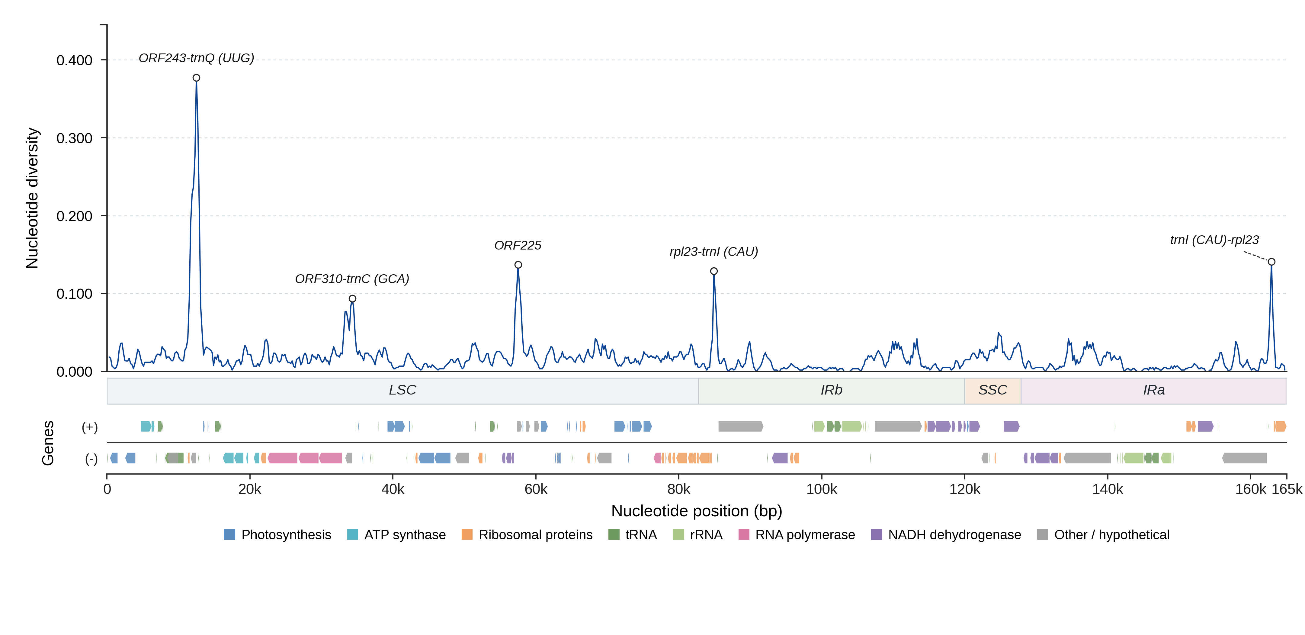 Sliding-window nucleotide diversity