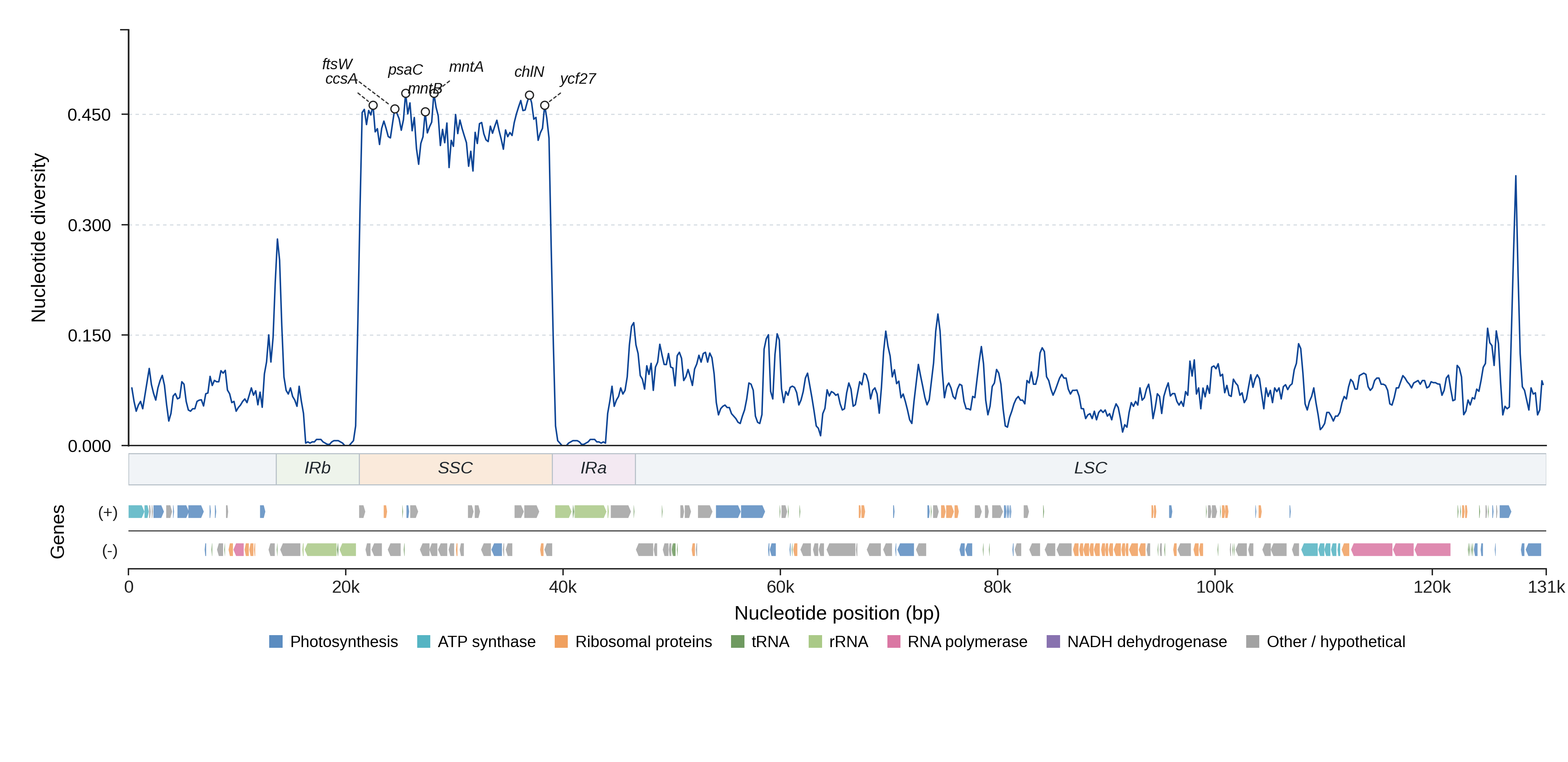 Sliding-window nucleotide diversity