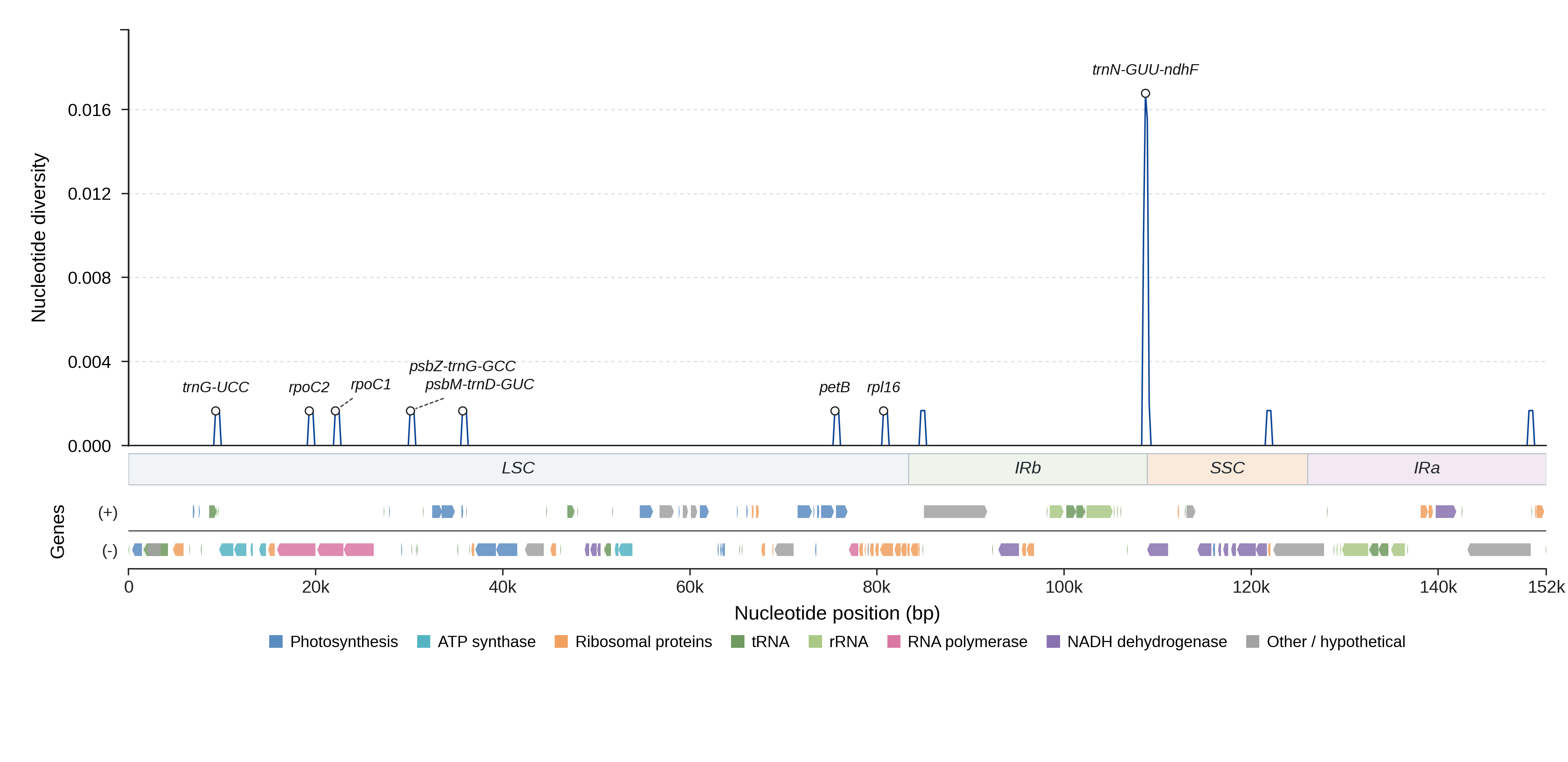 Sliding-window nucleotide diversity