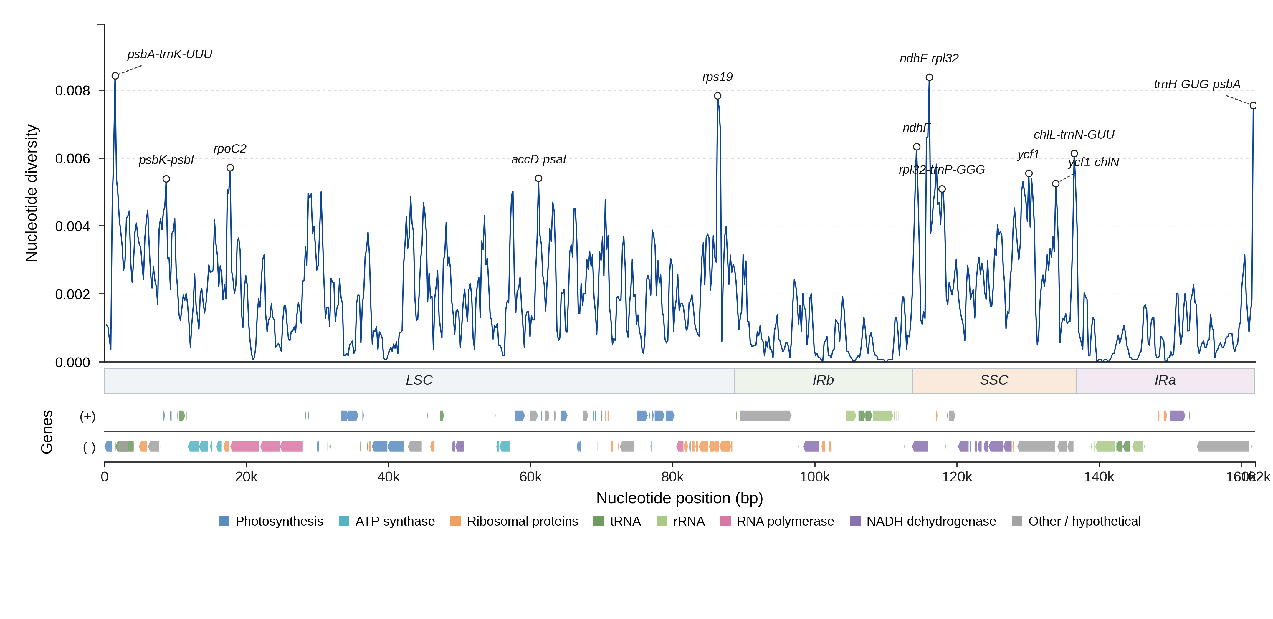 Sliding-window nucleotide diversity