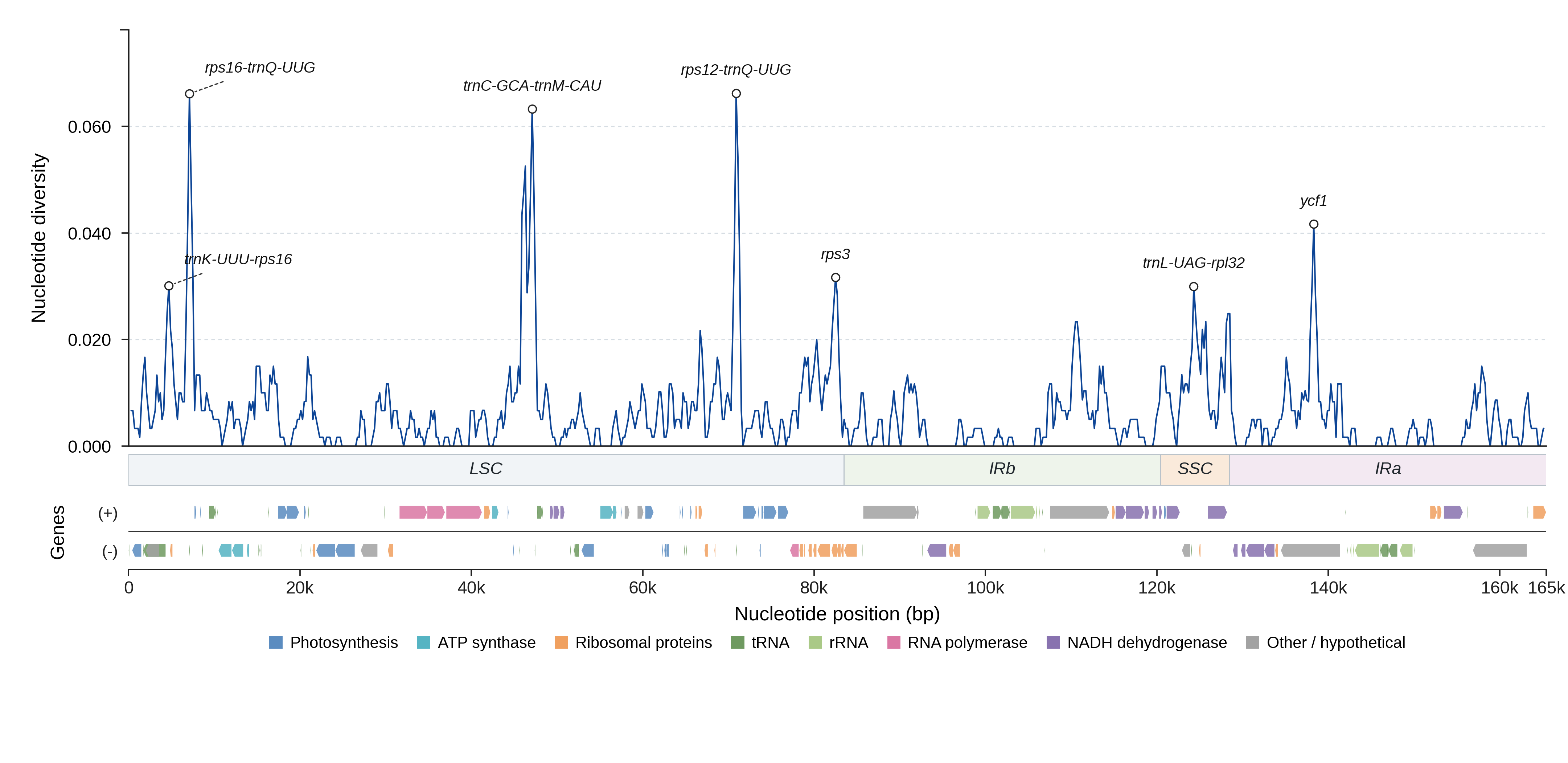 Sliding-window nucleotide diversity
