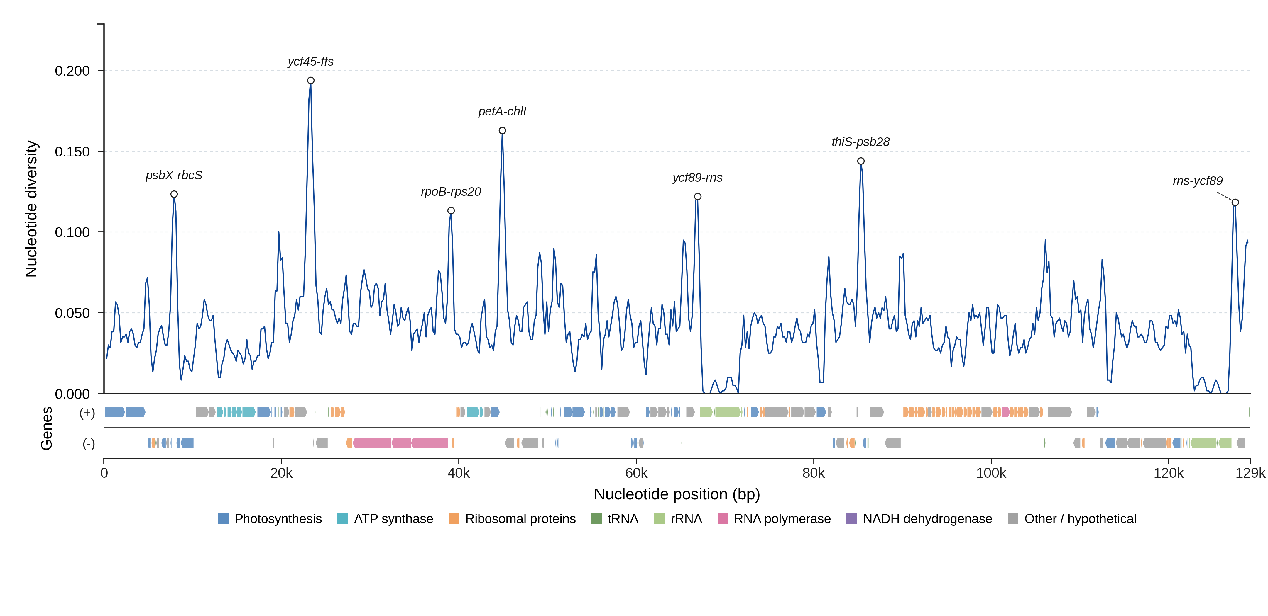 Sliding-window nucleotide diversity