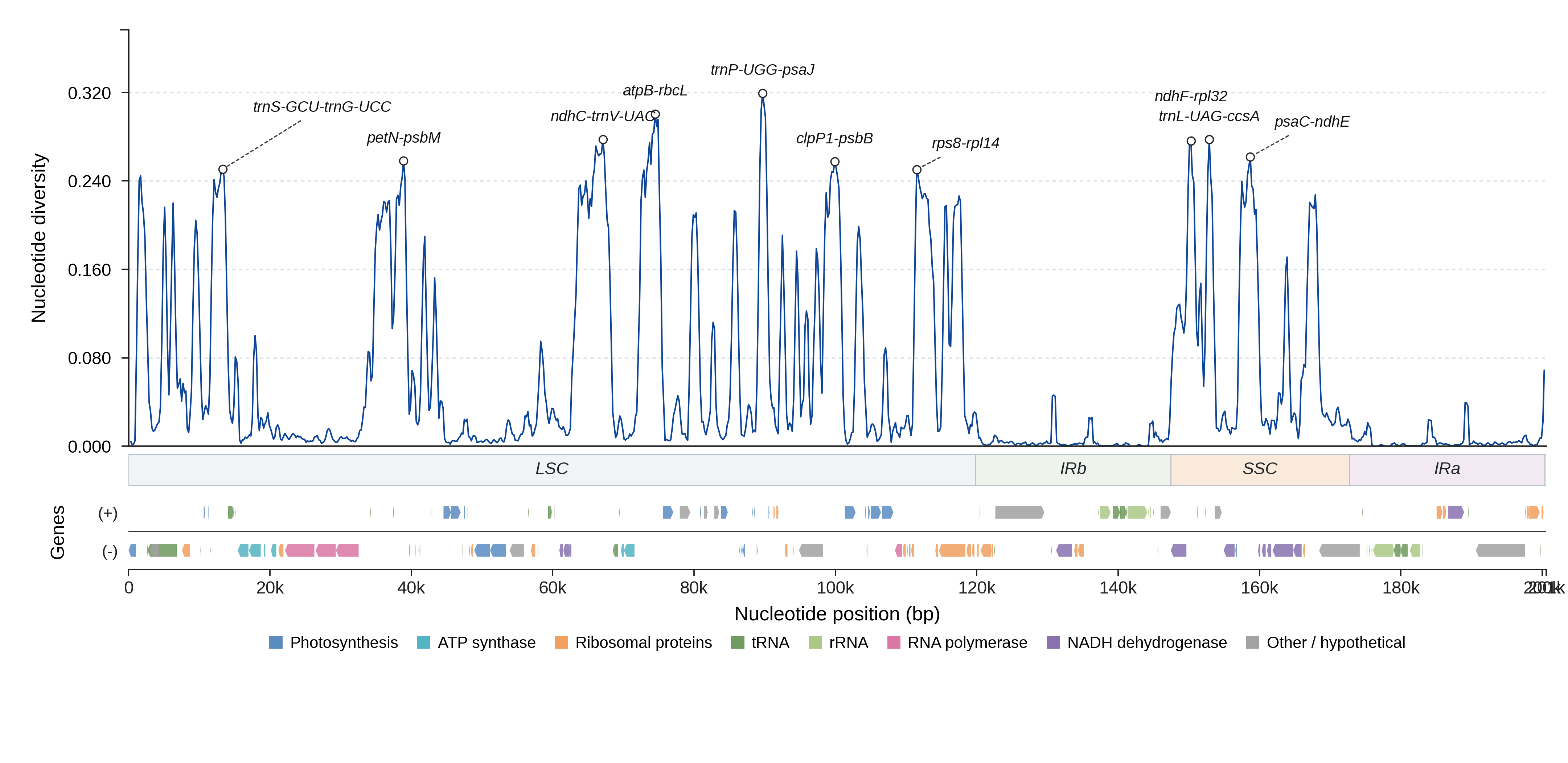 Sliding-window nucleotide diversity