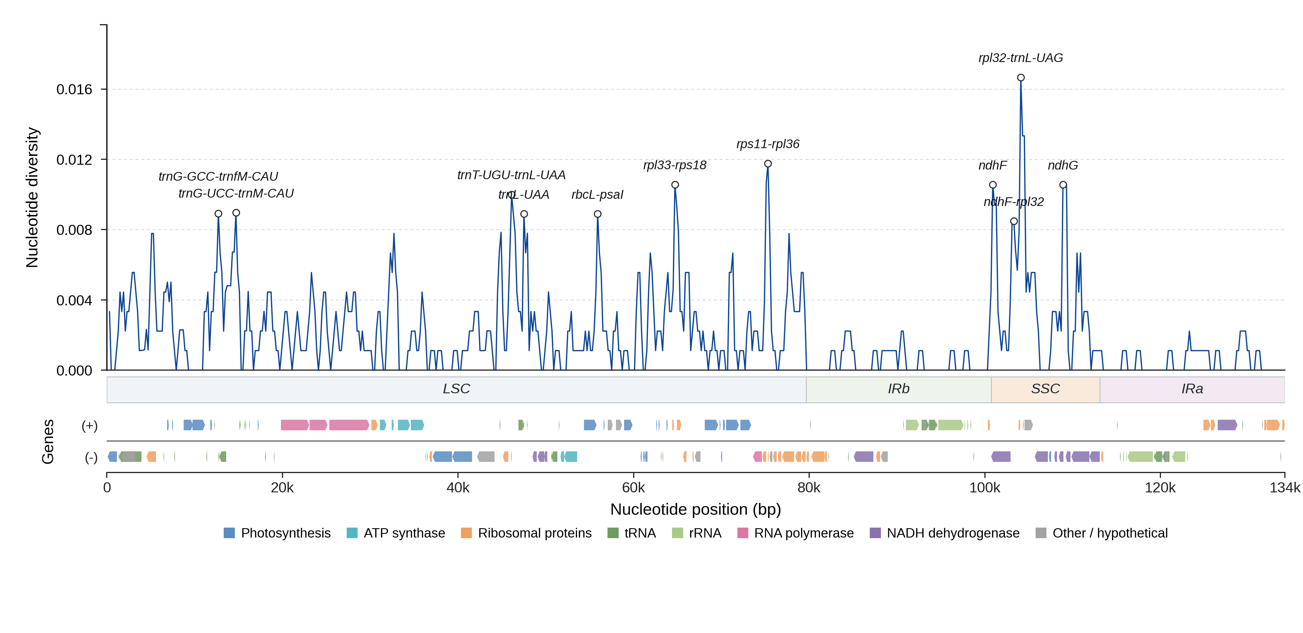 Sliding-window nucleotide diversity