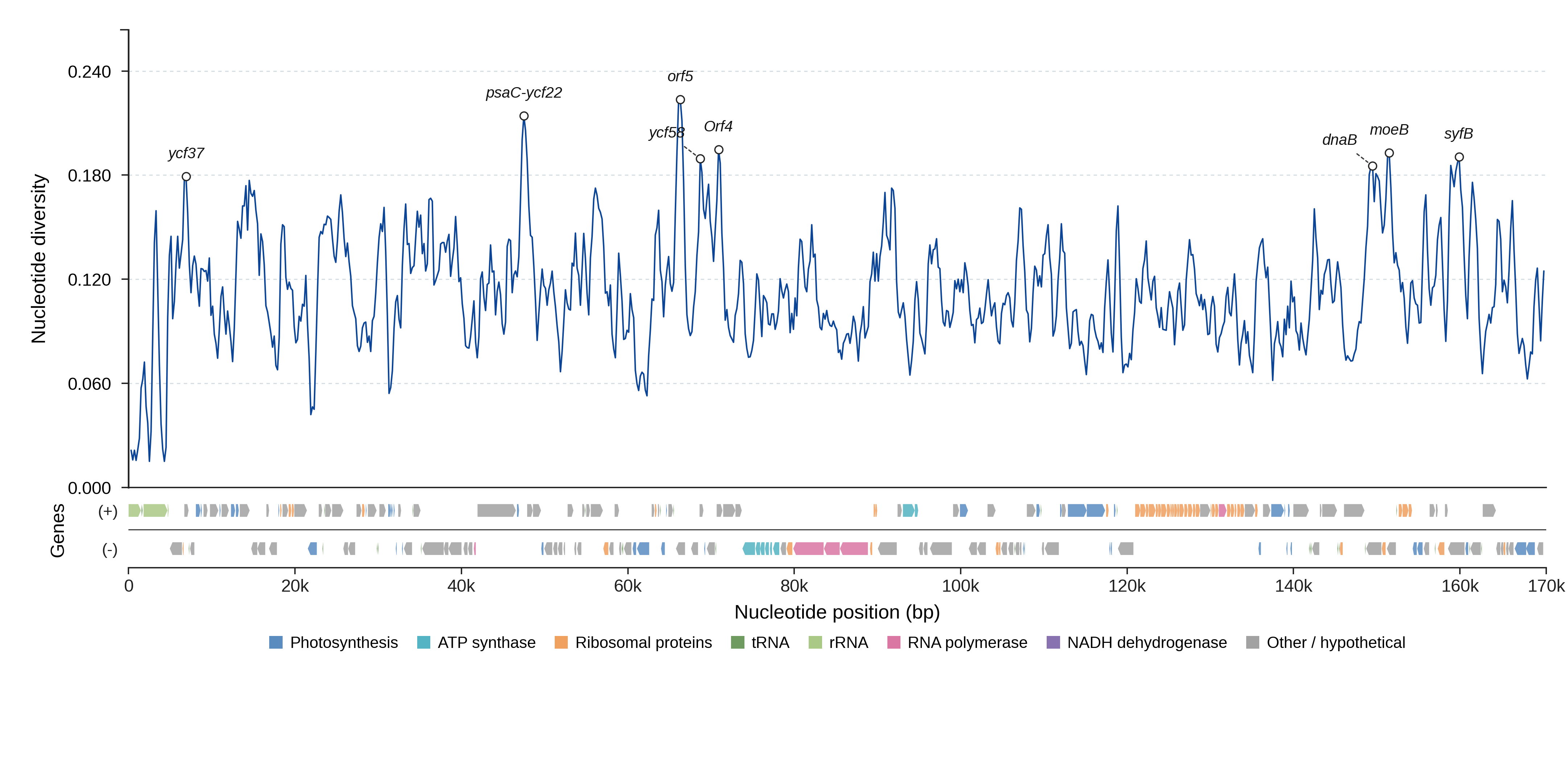 Sliding-window nucleotide diversity