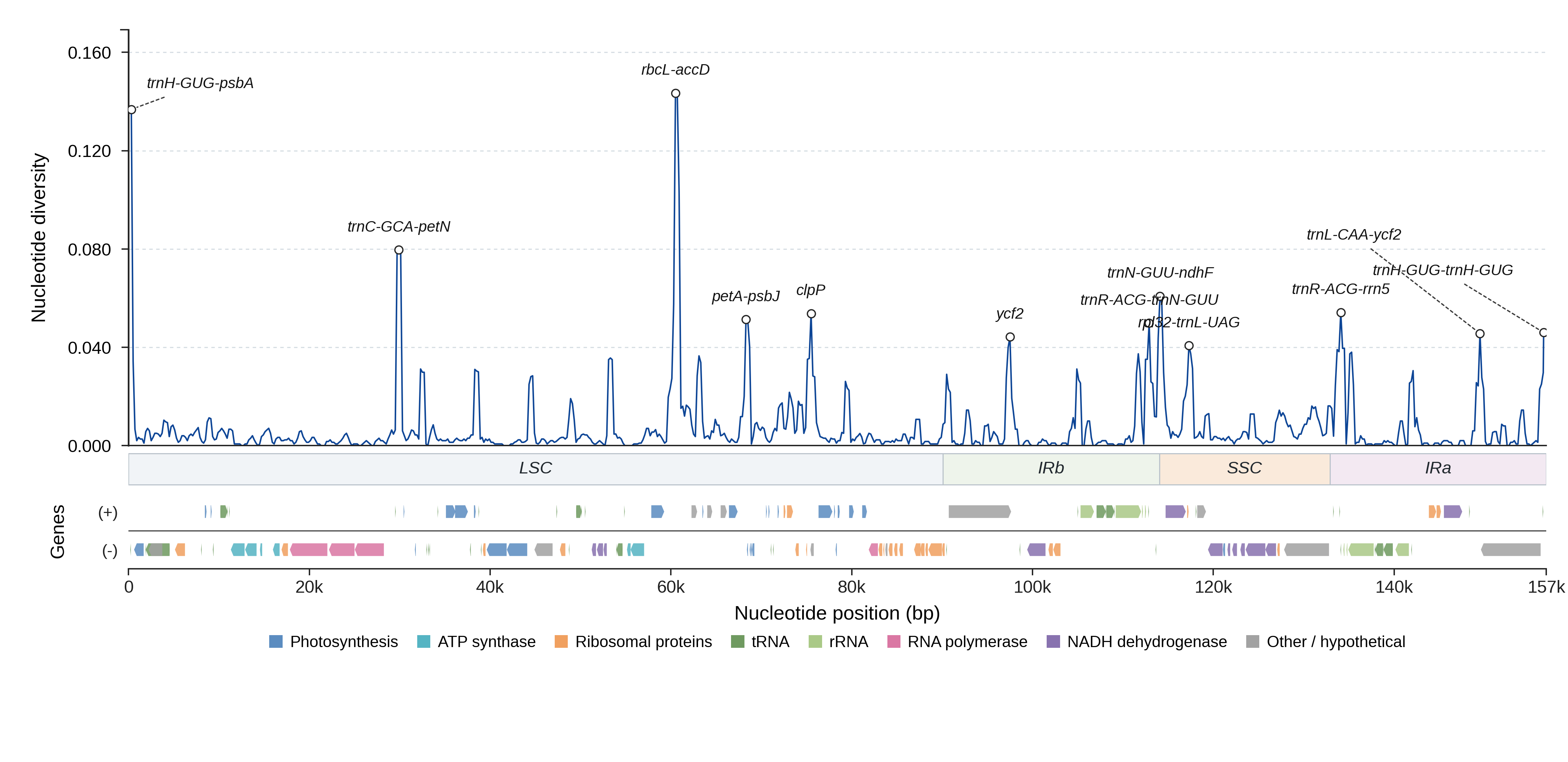 Sliding-window nucleotide diversity