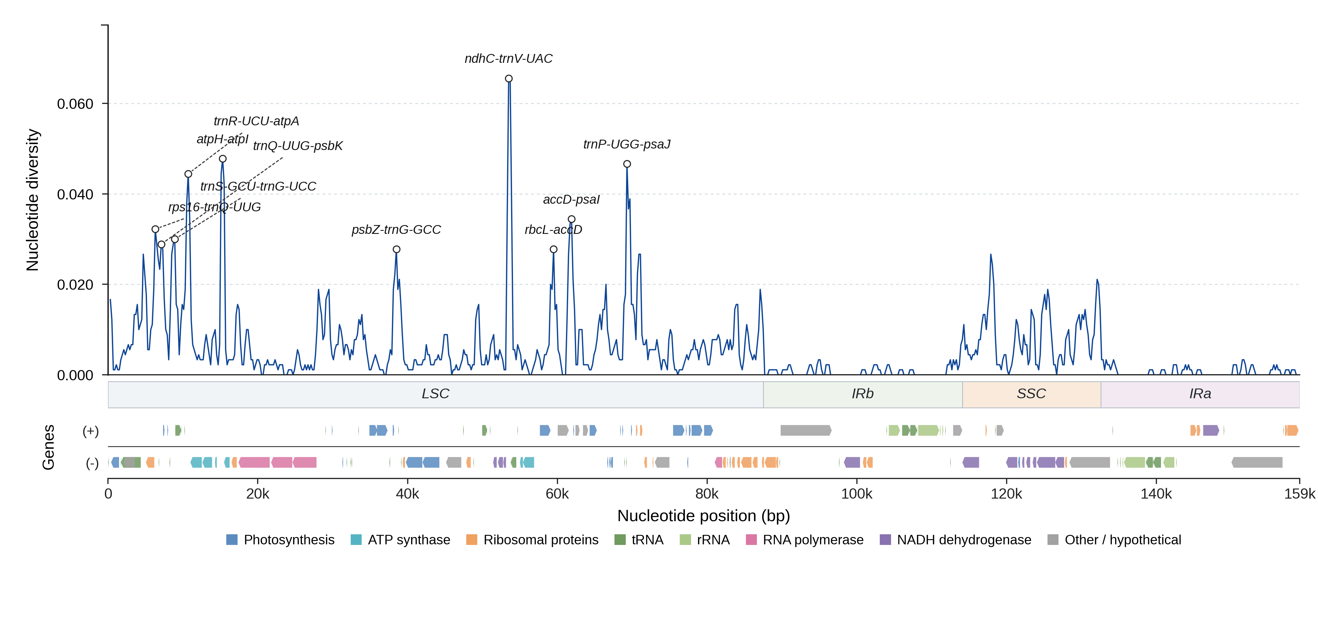 Sliding-window nucleotide diversity