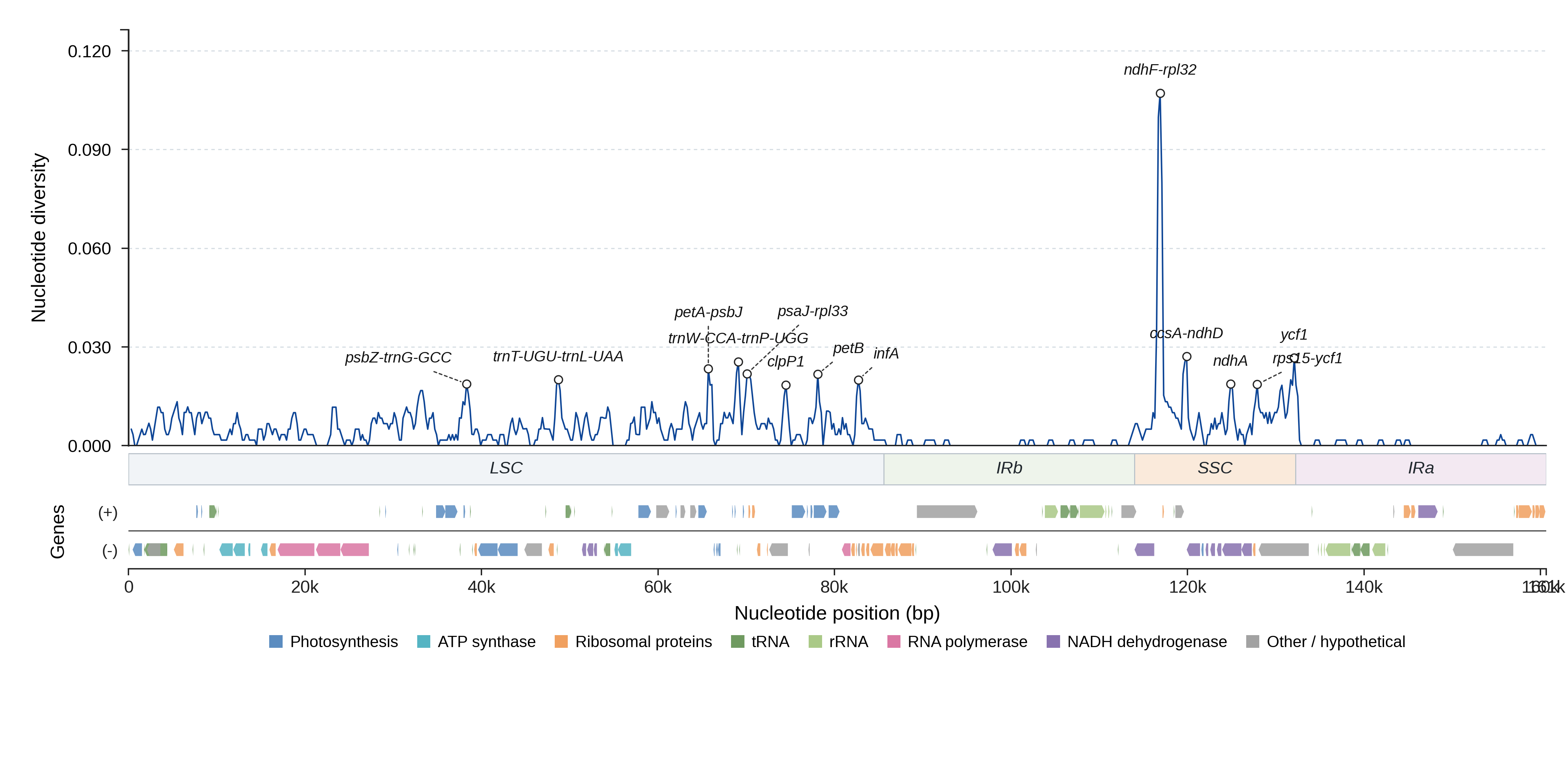 Sliding-window nucleotide diversity