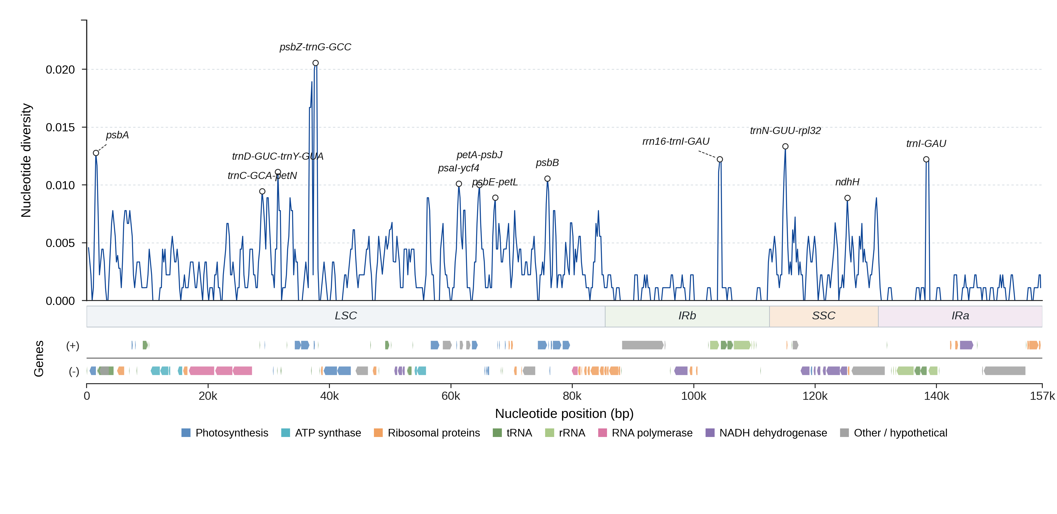 Sliding-window nucleotide diversity
