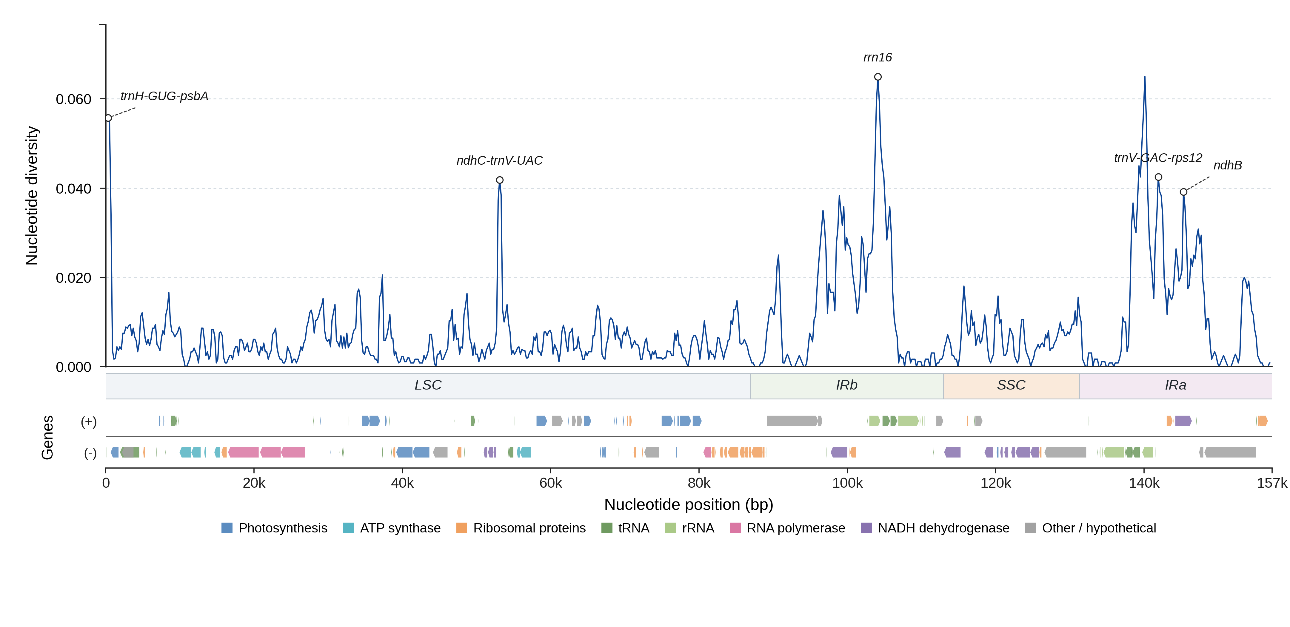 Sliding-window nucleotide diversity