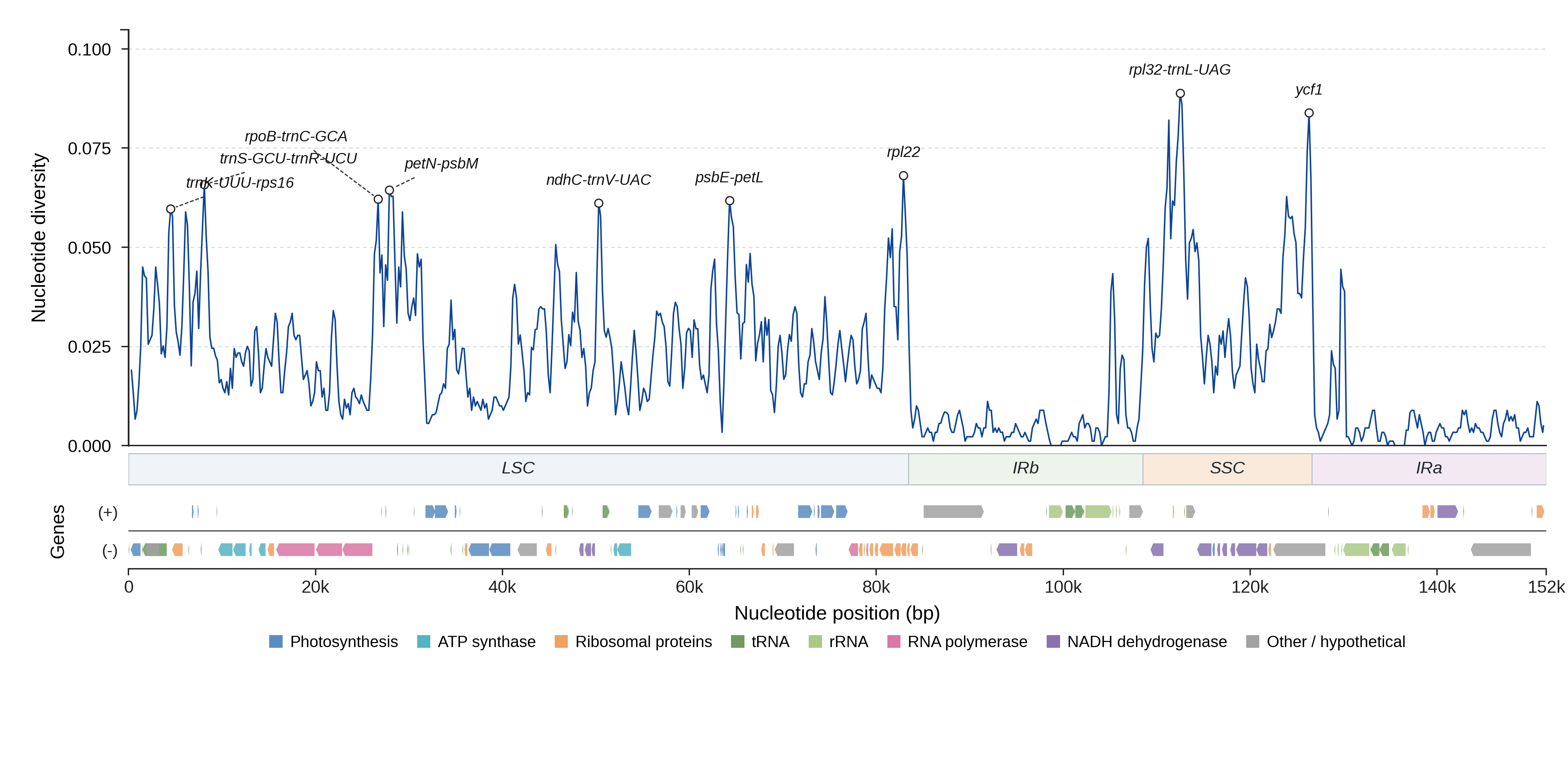 Sliding-window nucleotide diversity