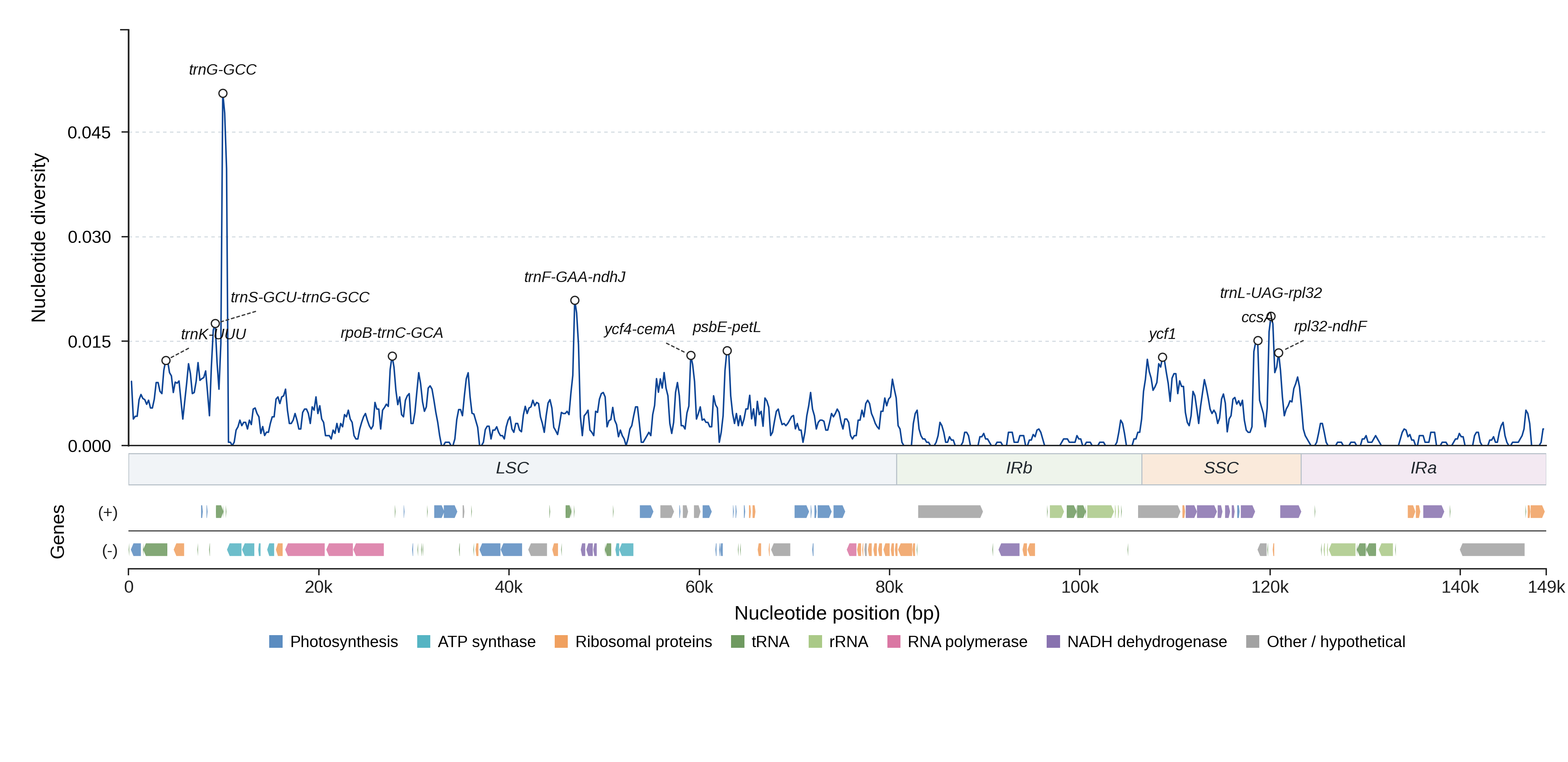 Sliding-window nucleotide diversity