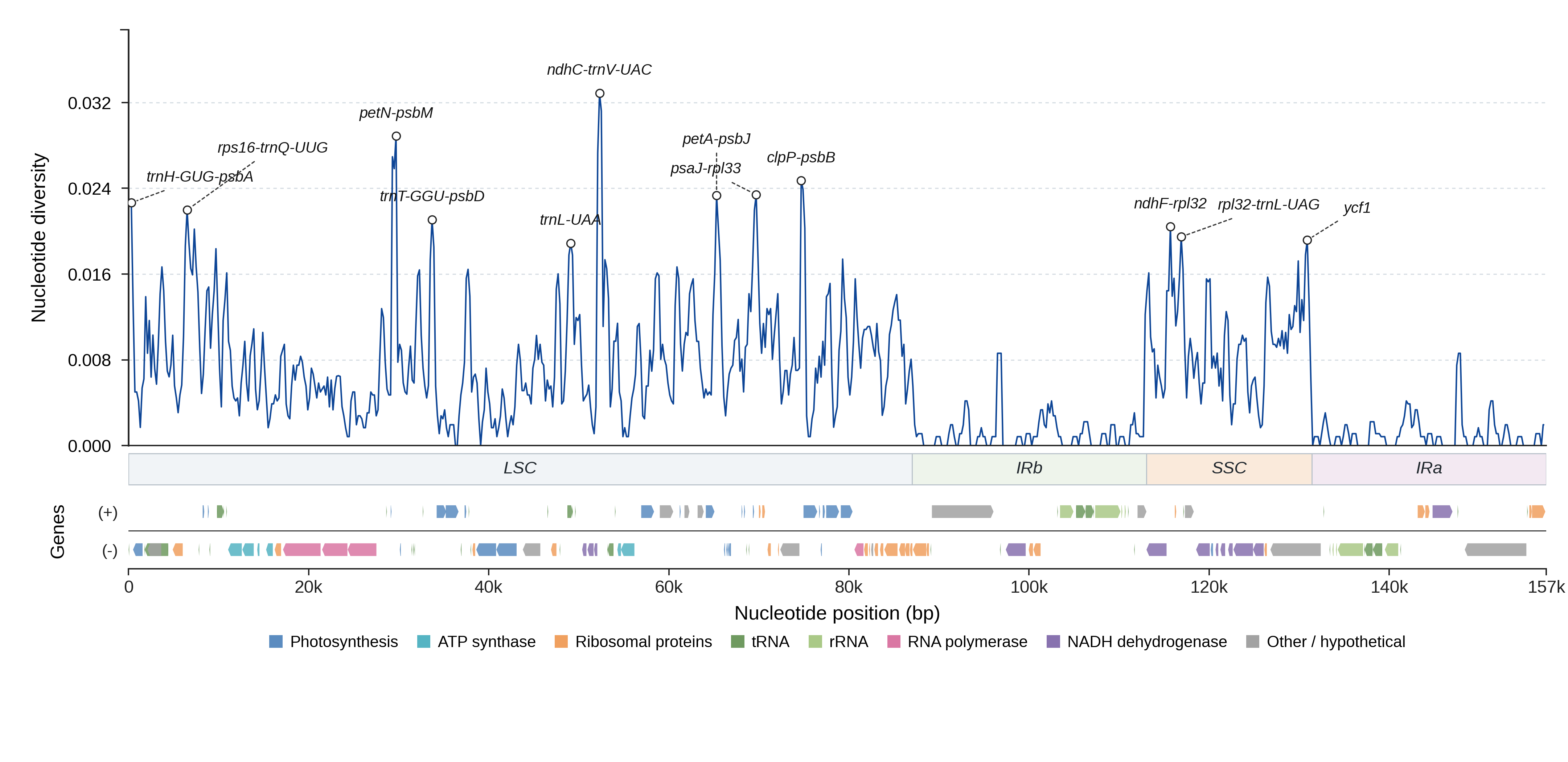 Sliding-window nucleotide diversity