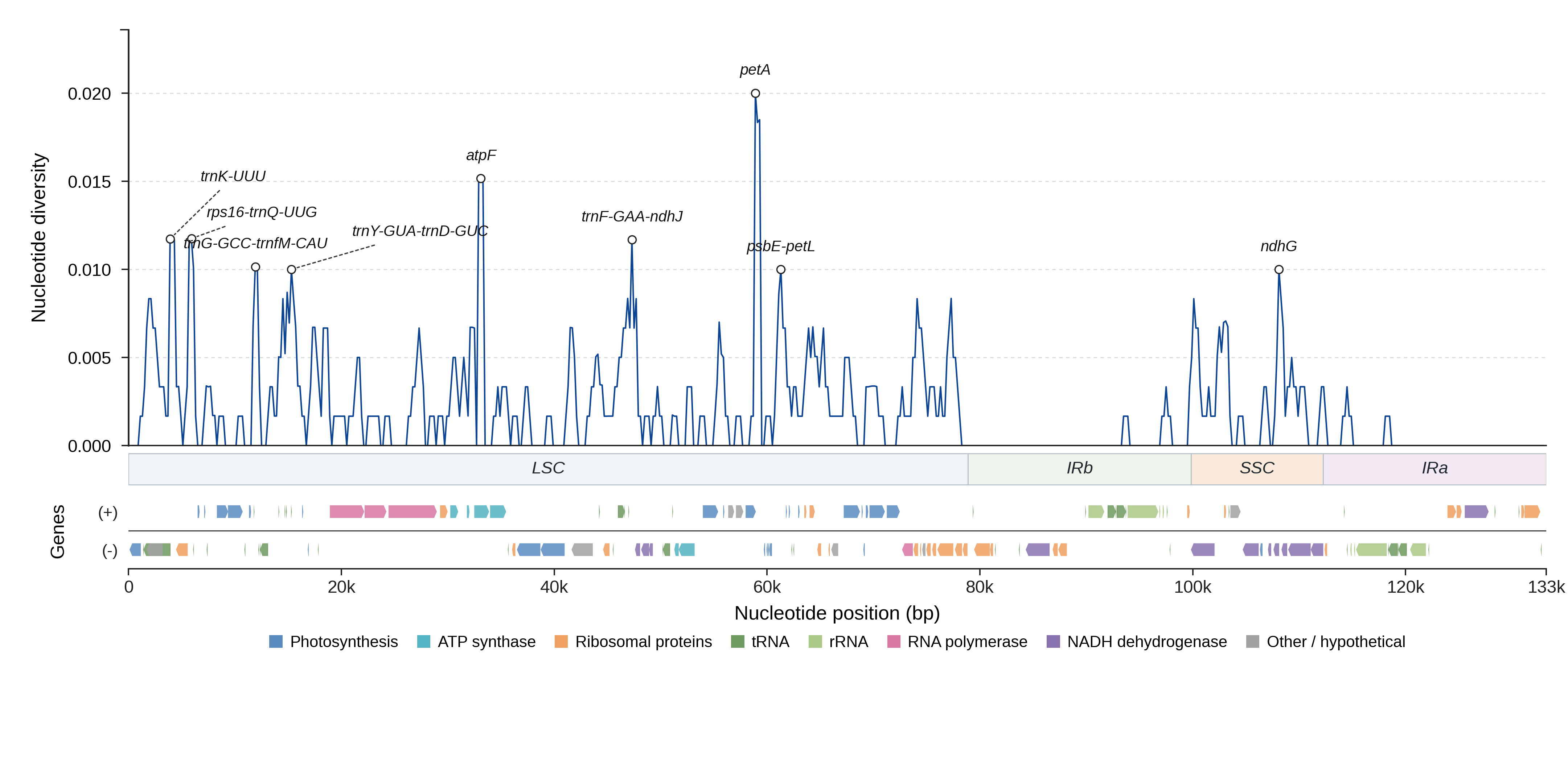 Sliding-window nucleotide diversity