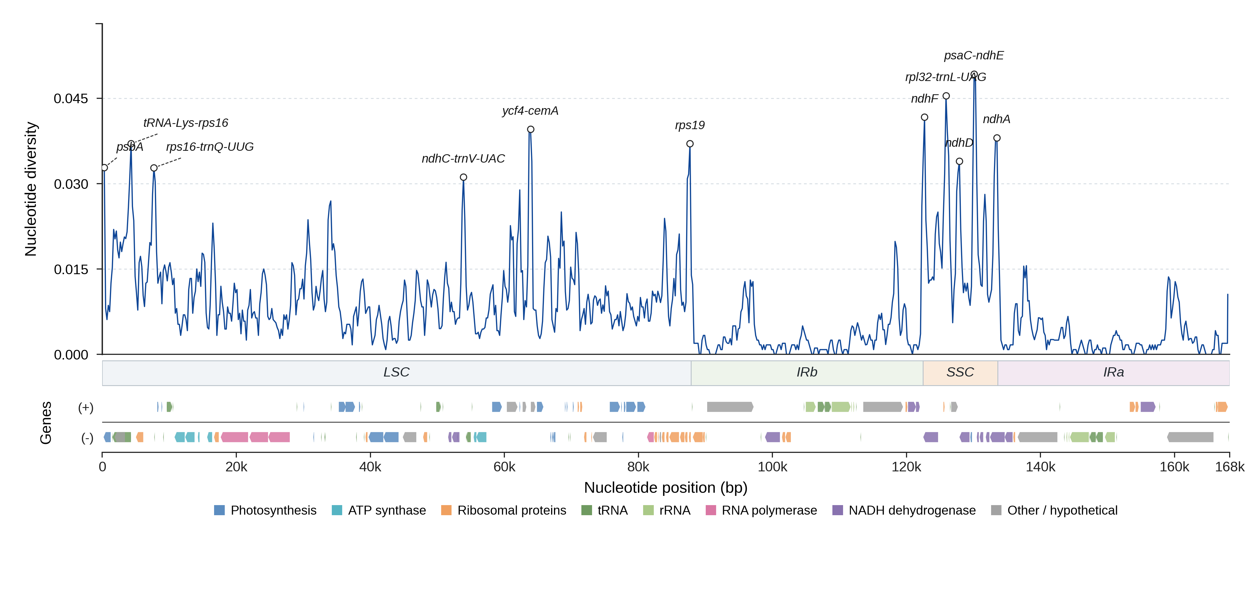 Sliding-window nucleotide diversity