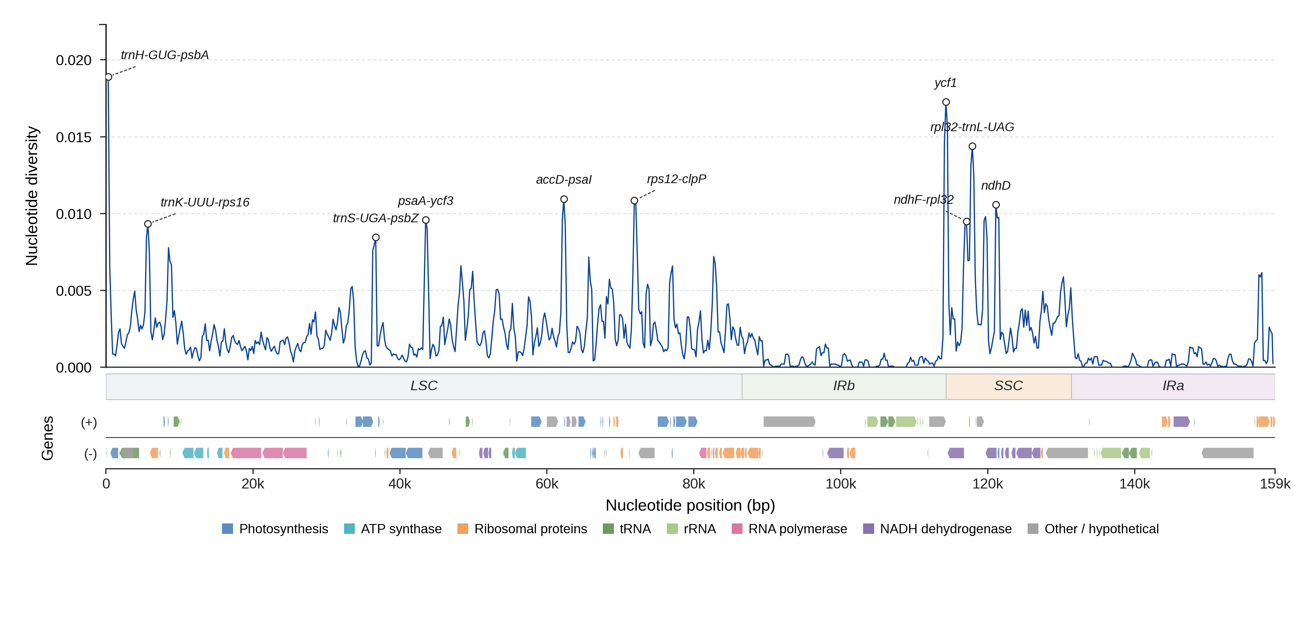Sliding-window nucleotide diversity