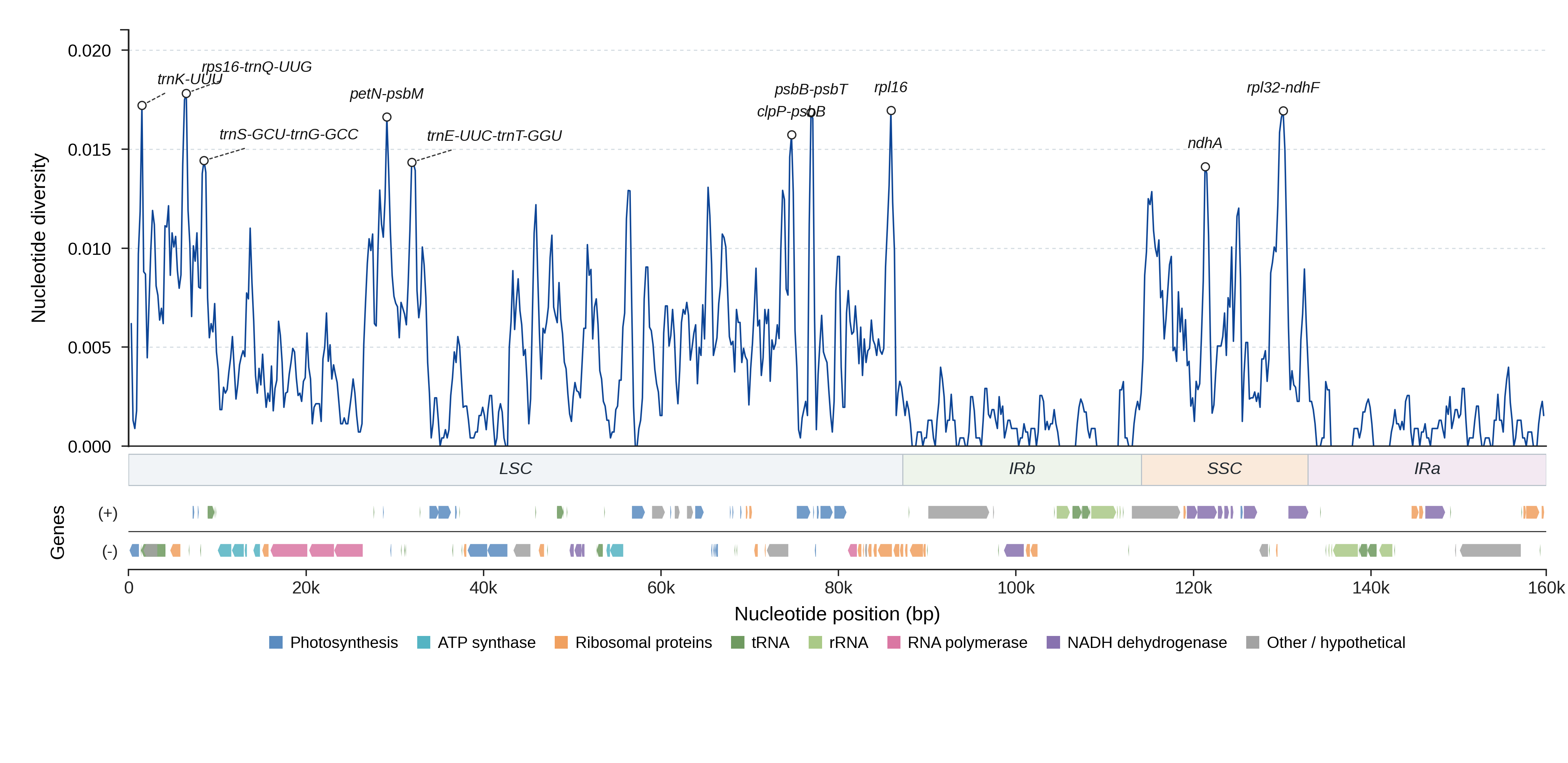 Sliding-window nucleotide diversity