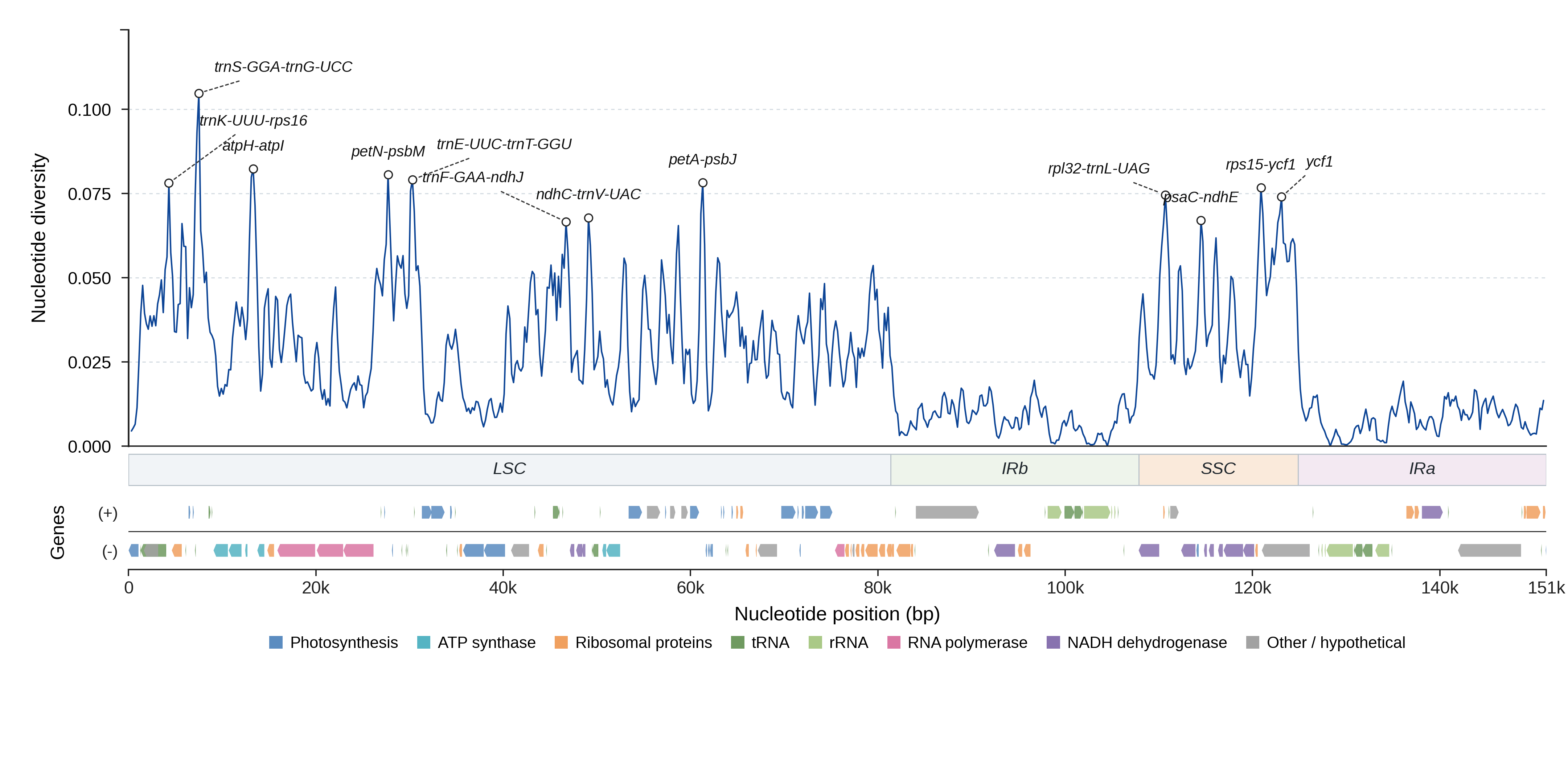 Sliding-window nucleotide diversity