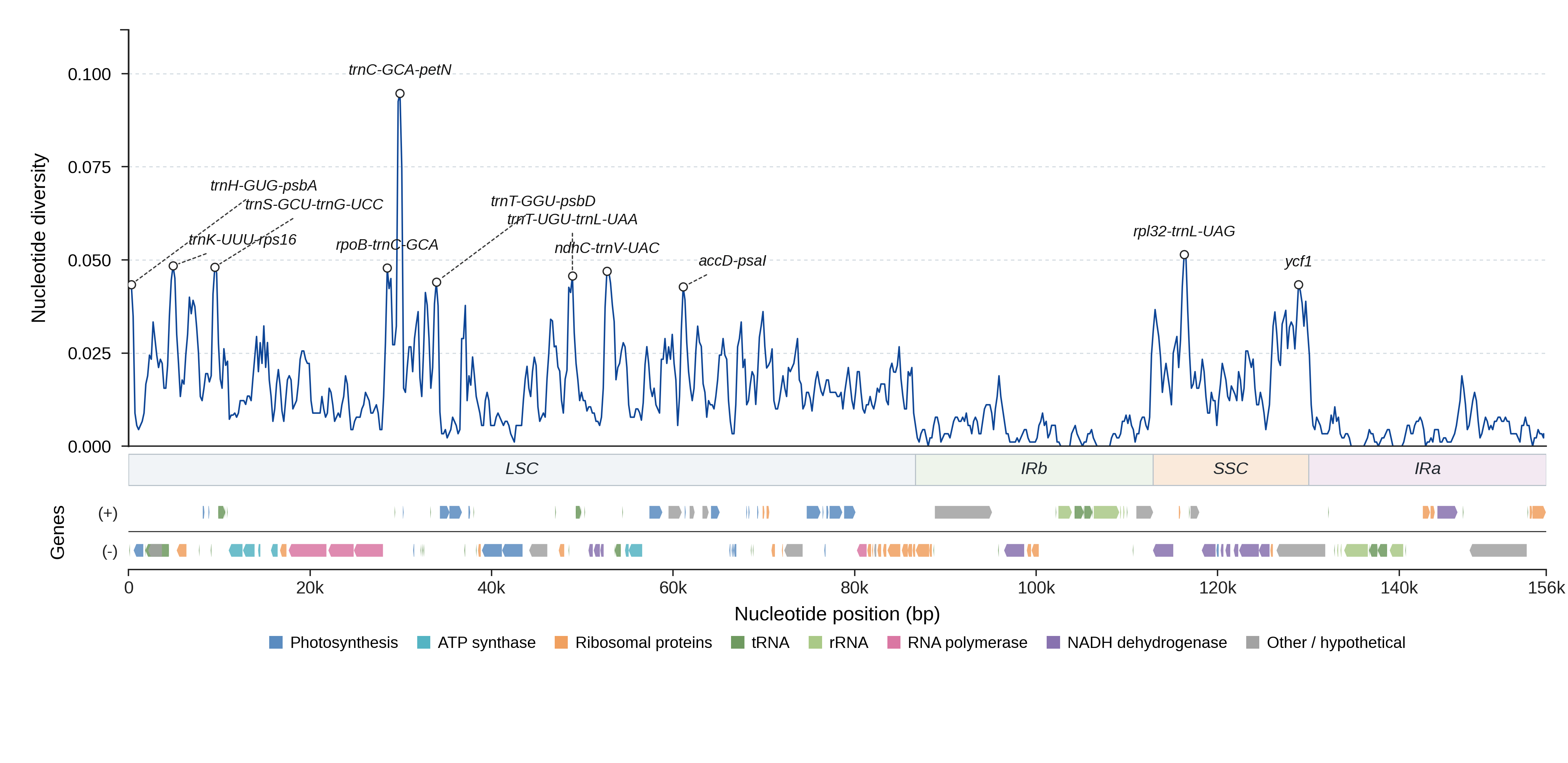 Sliding-window nucleotide diversity