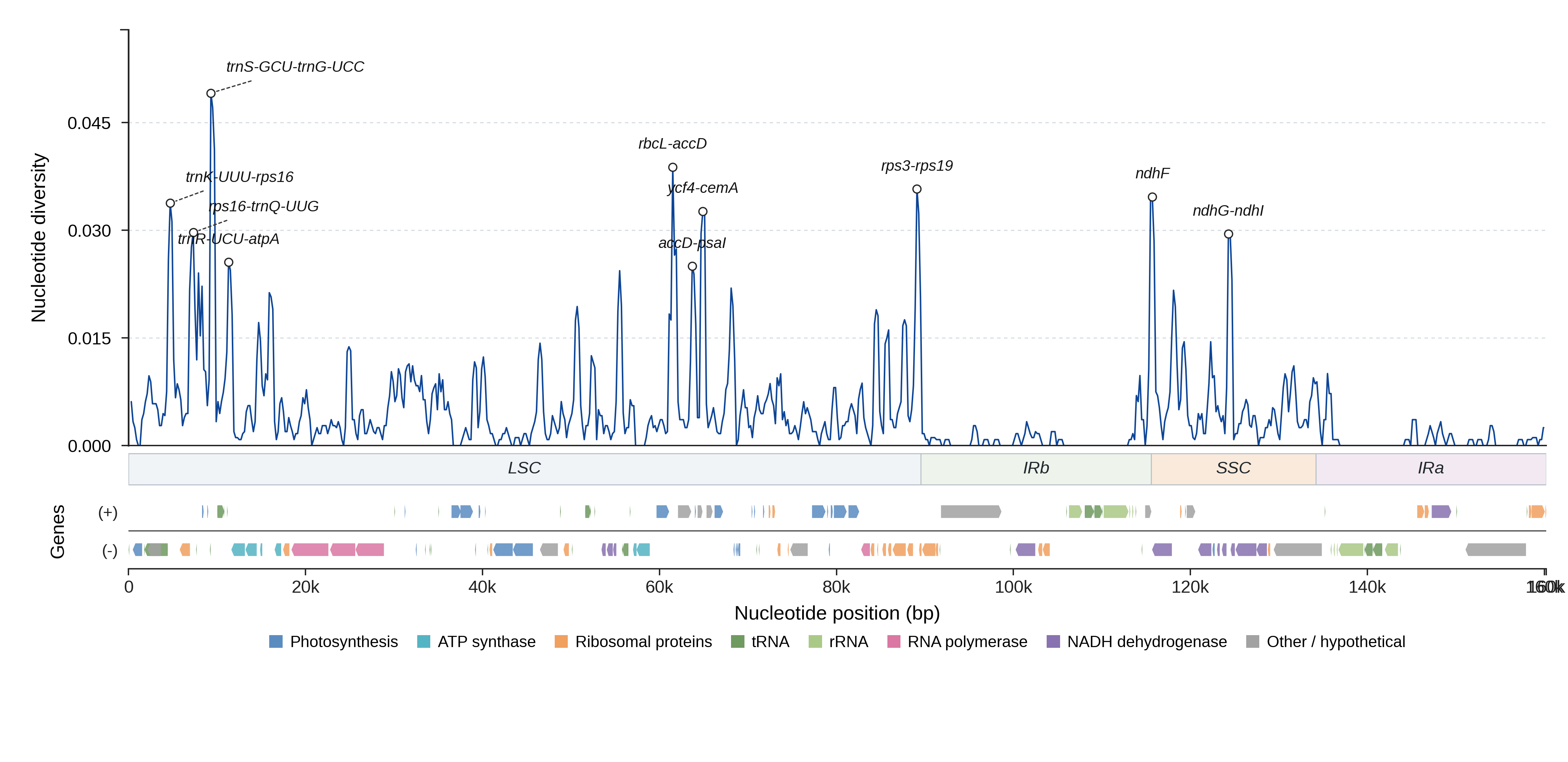 Sliding-window nucleotide diversity