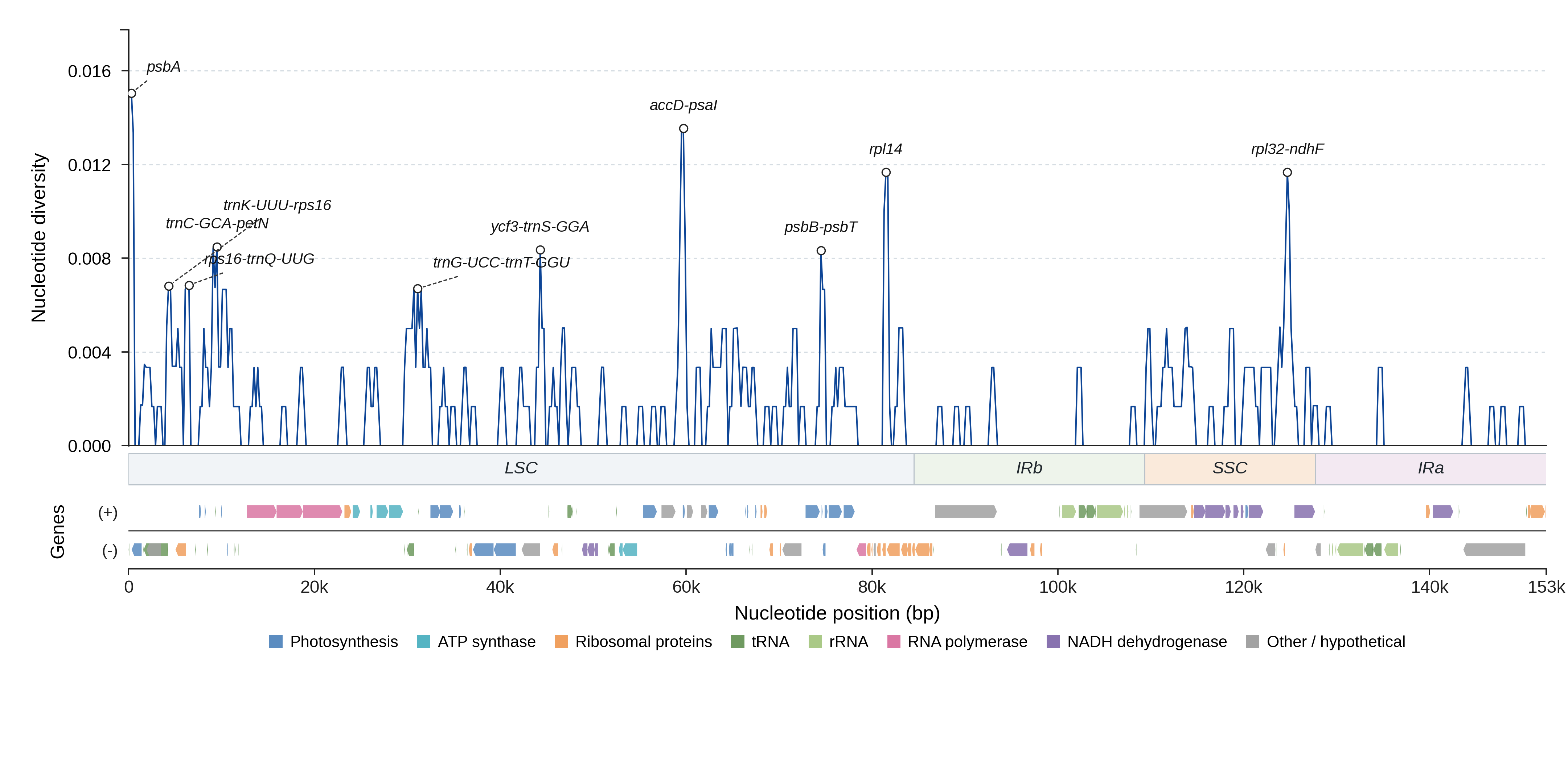Sliding-window nucleotide diversity